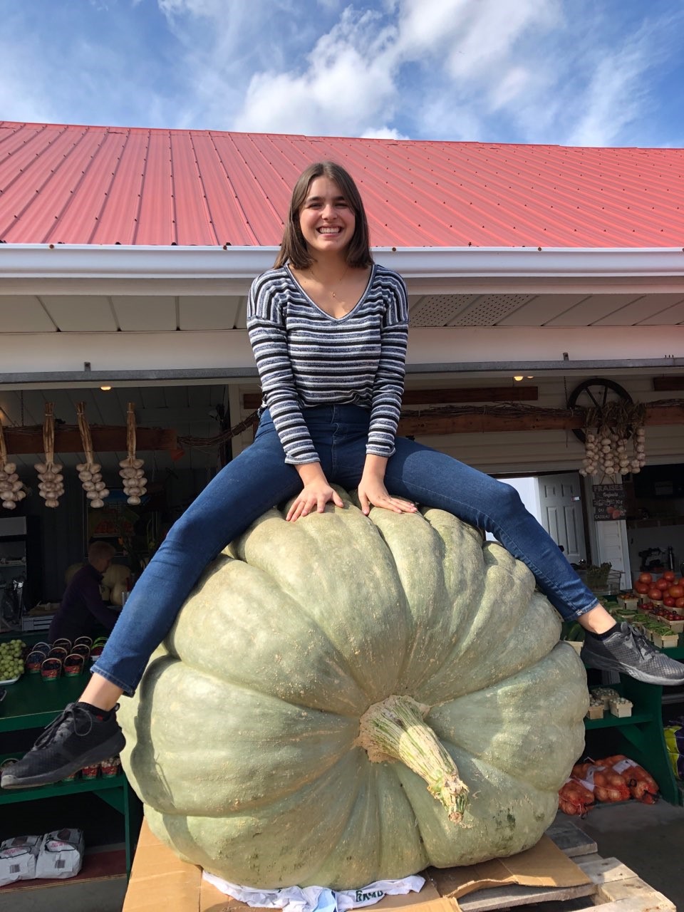 Une courge digne d&rsquo;un carrosse doré pour un fermier de Mercier