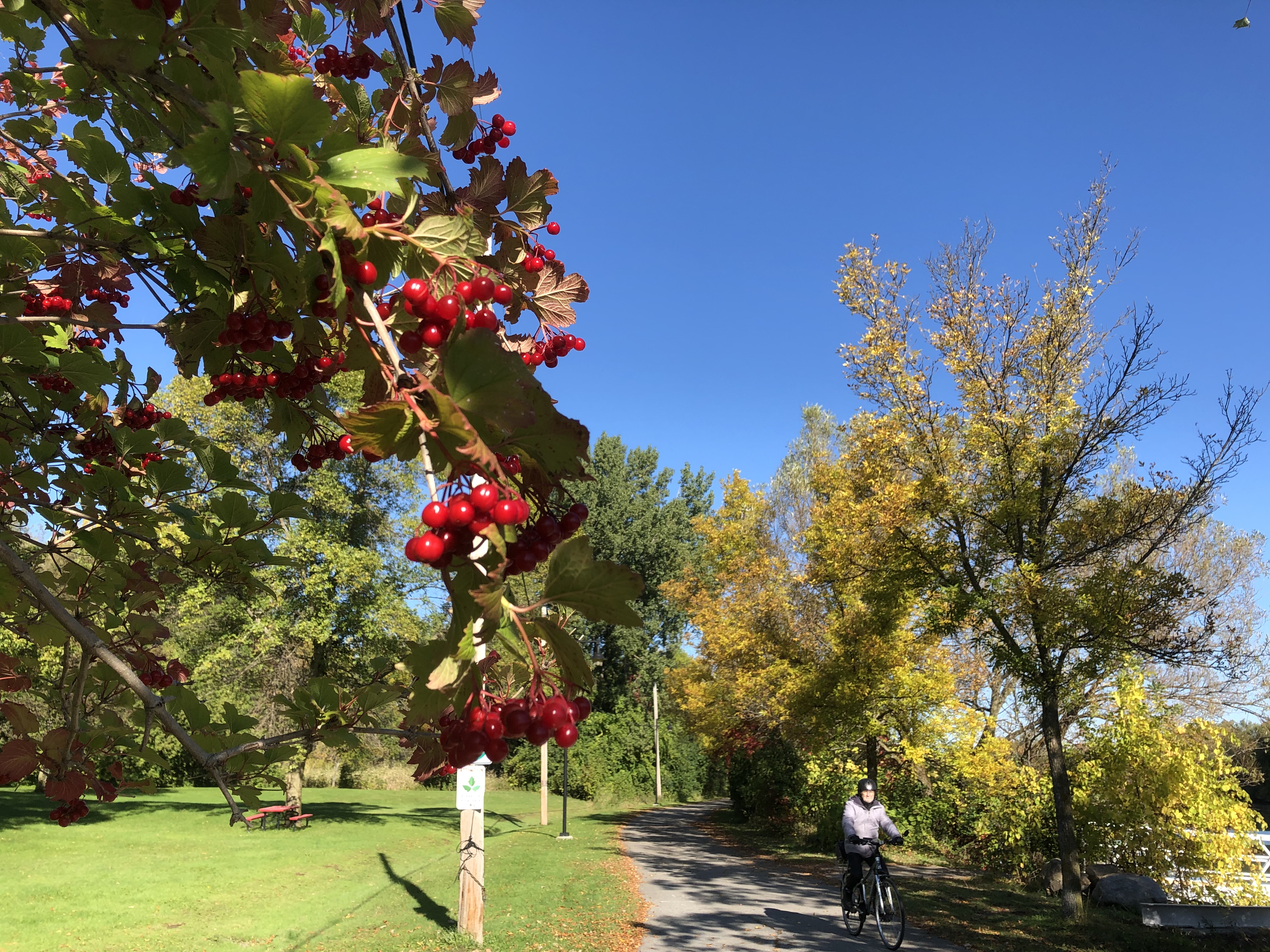 Samedi d&rsquo;automne ensoleillé en photos