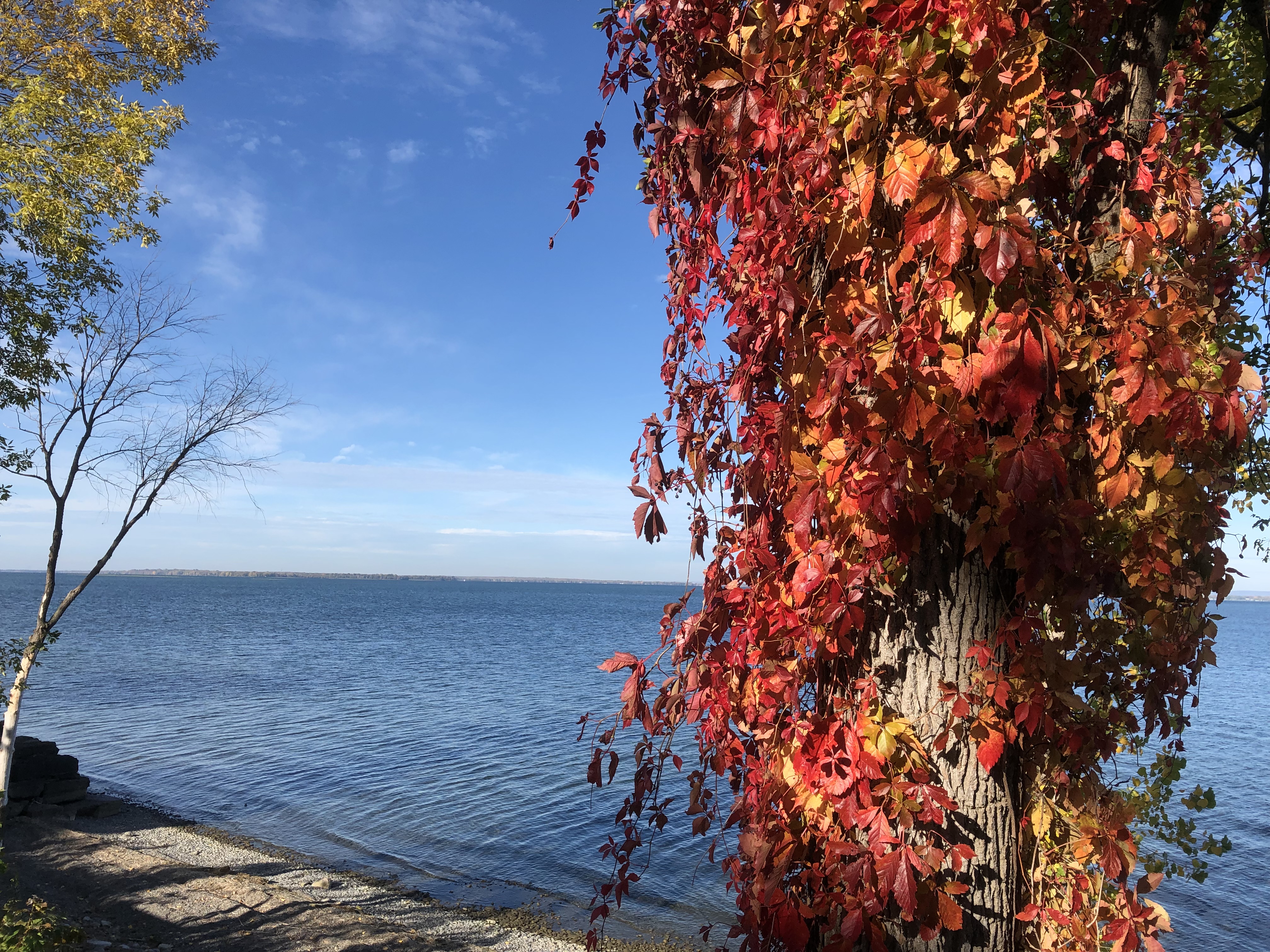 Décor haut en couleur