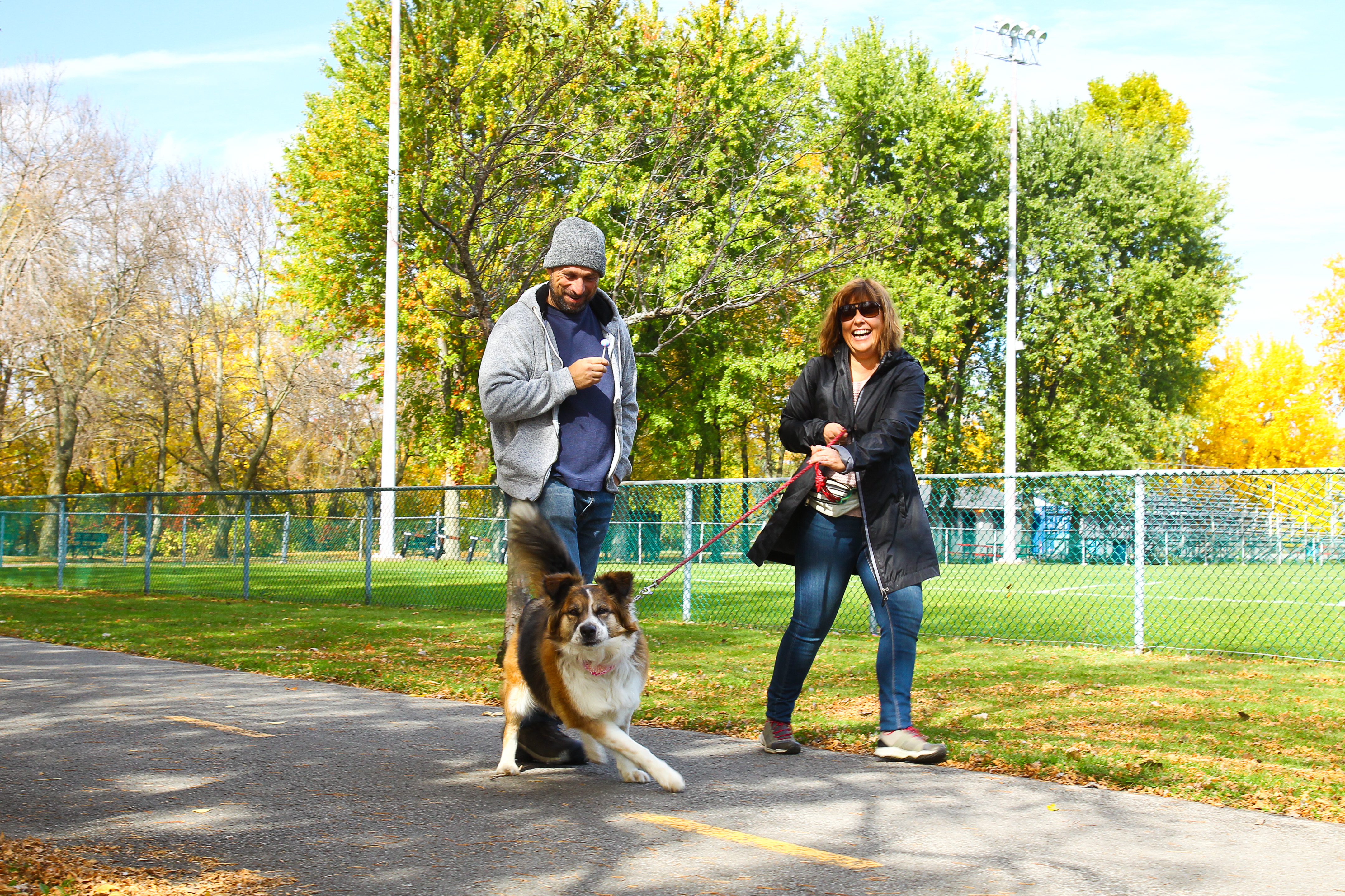 L’automne dans la mire du photographe Andrew Clark