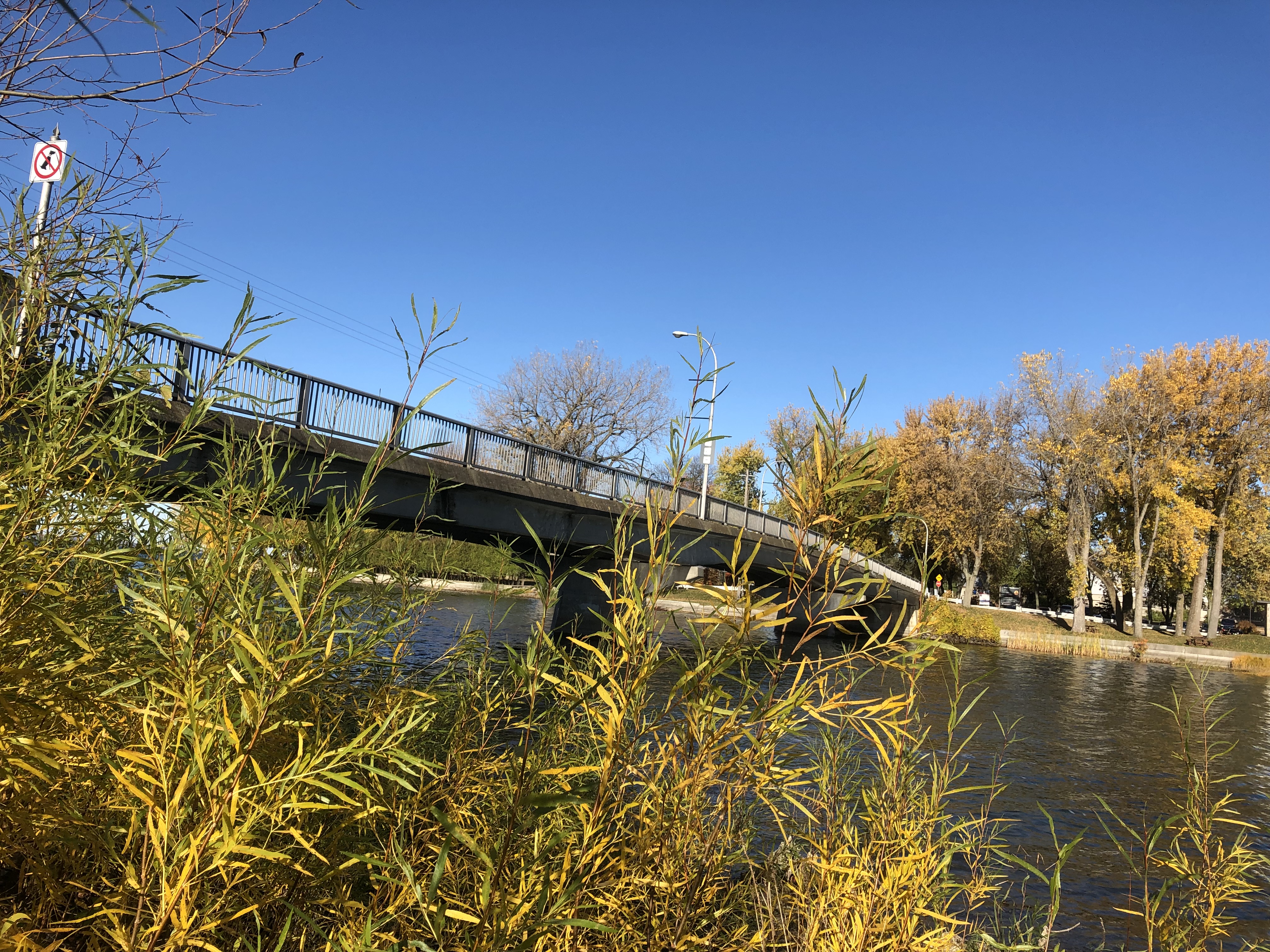 Les oies de l&rsquo;automne (Vidéo)