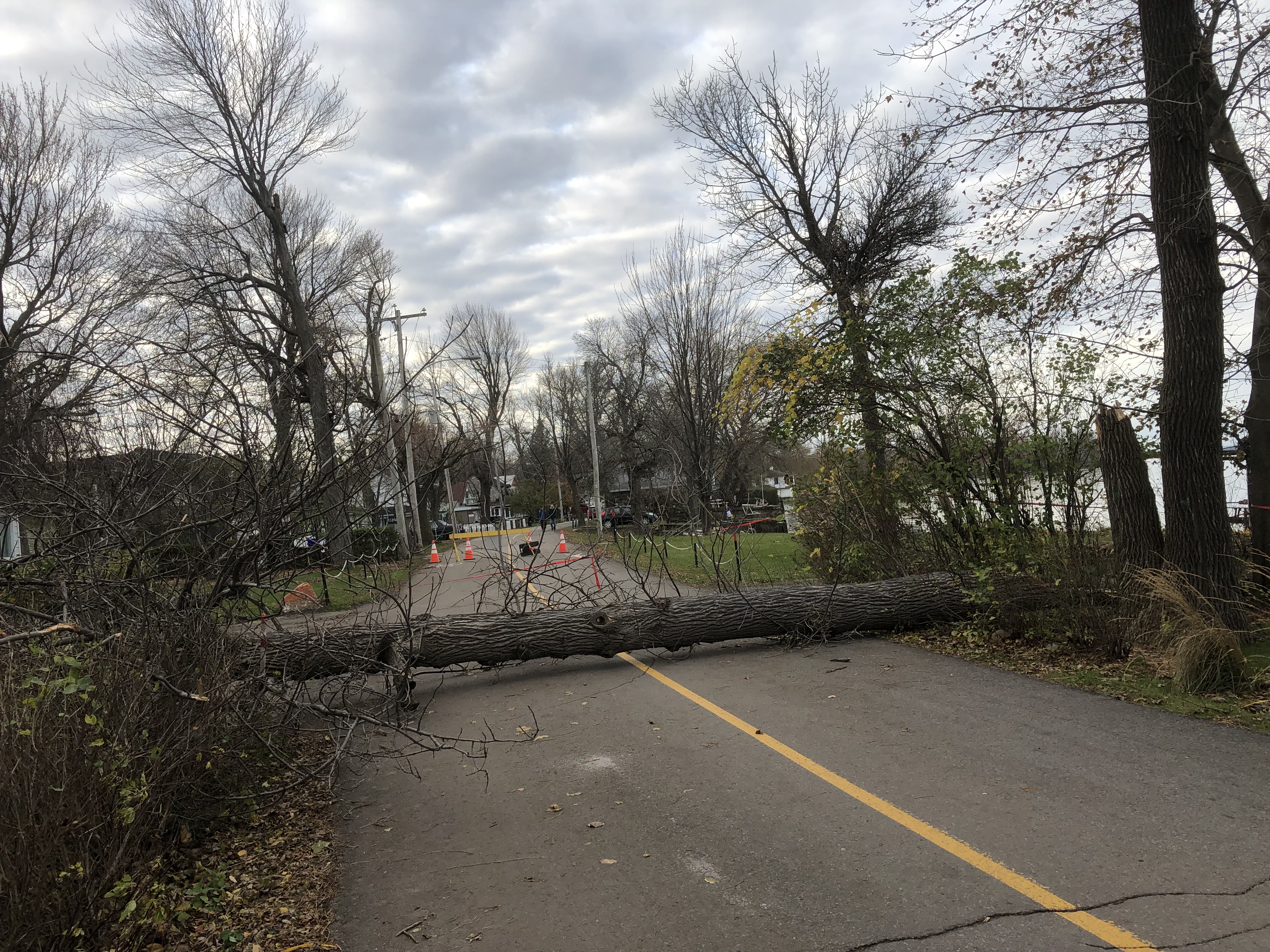 Le chemin du Lac Saint-Louis à Léry est dégagé