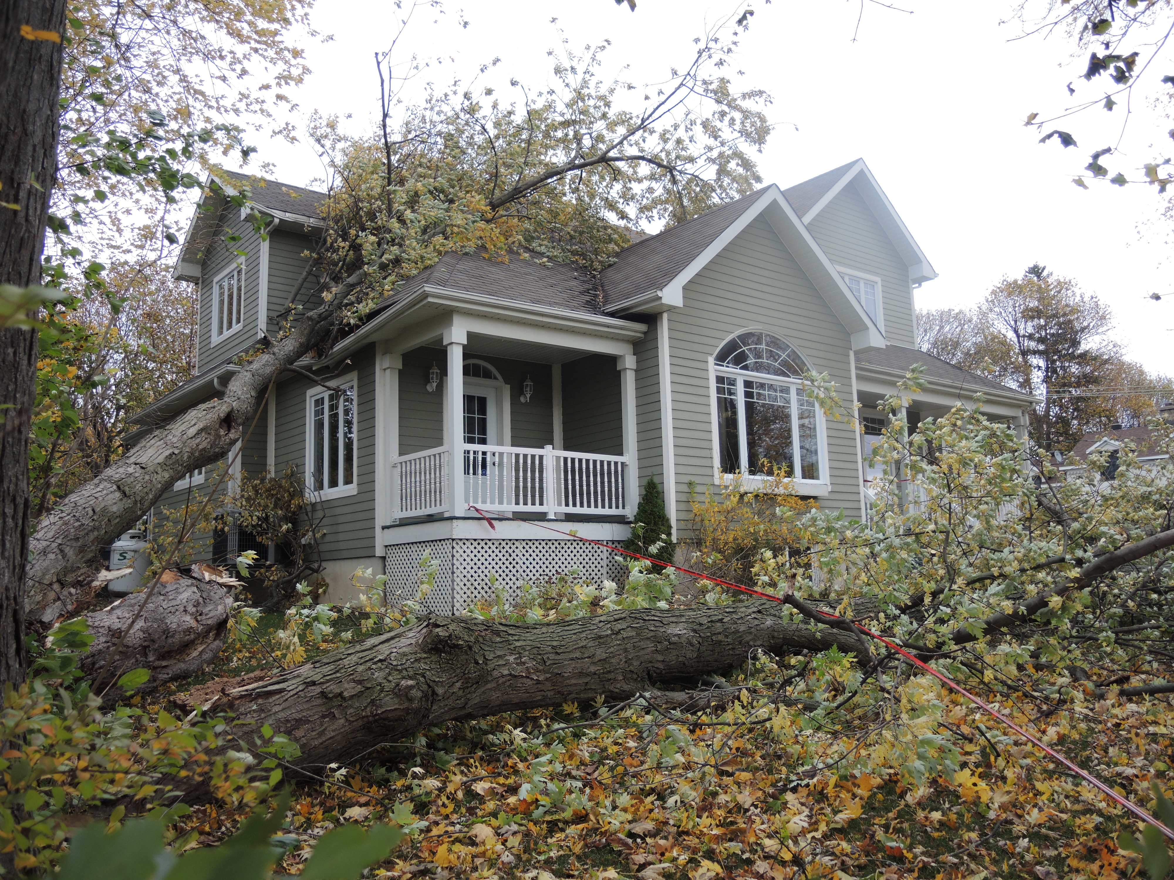 Souvenirs des vents épouvantables