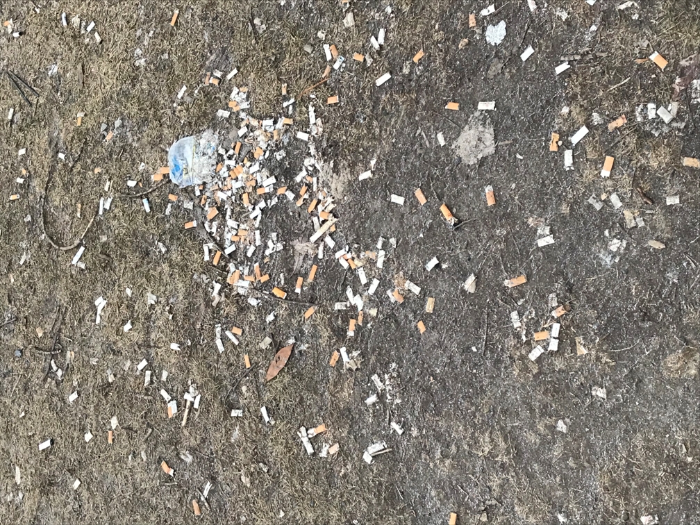 Des cigarettes jonchent le stationnement de l’Hôpital Anna-Laberge