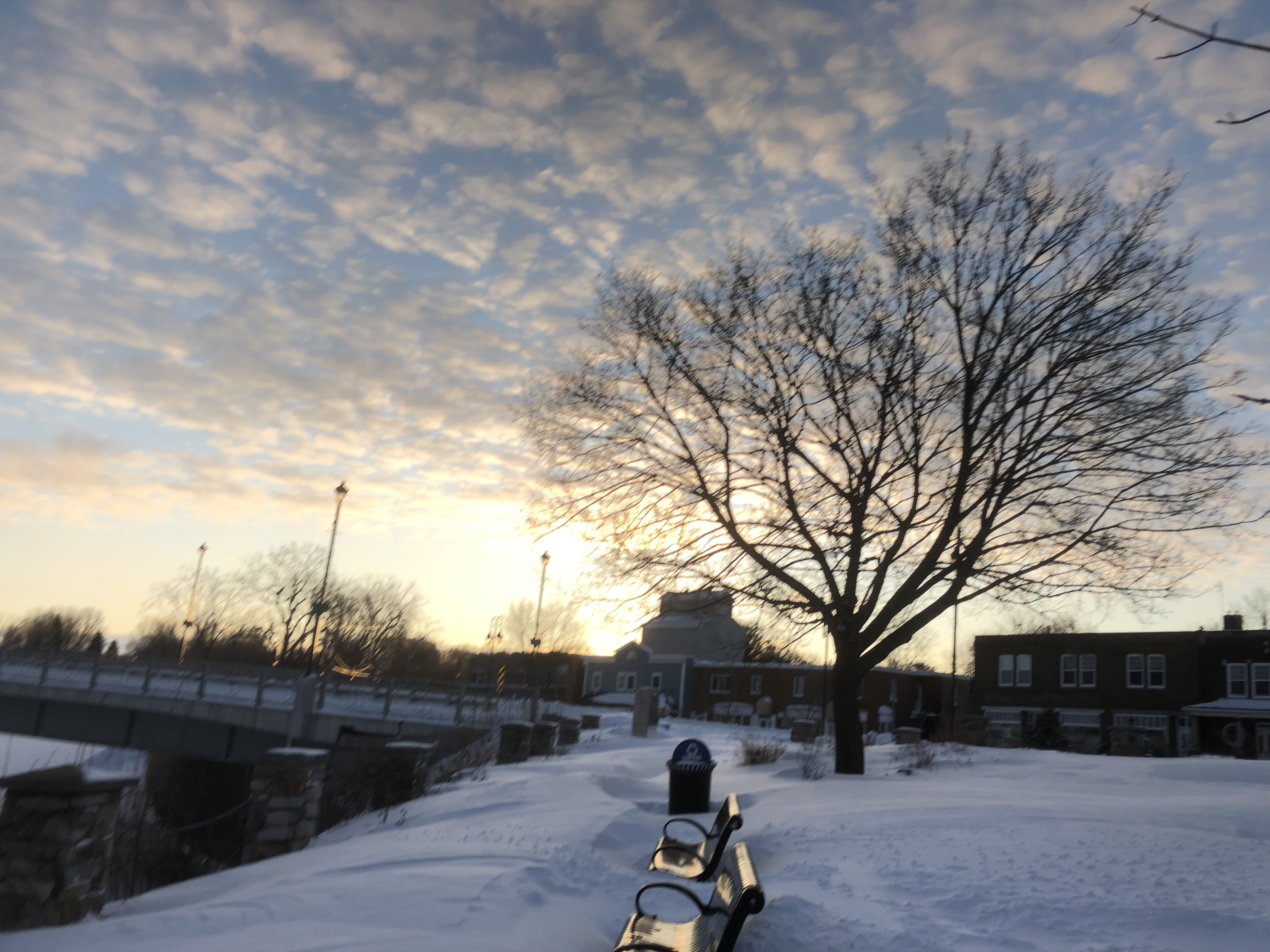 Lendemain de tempête