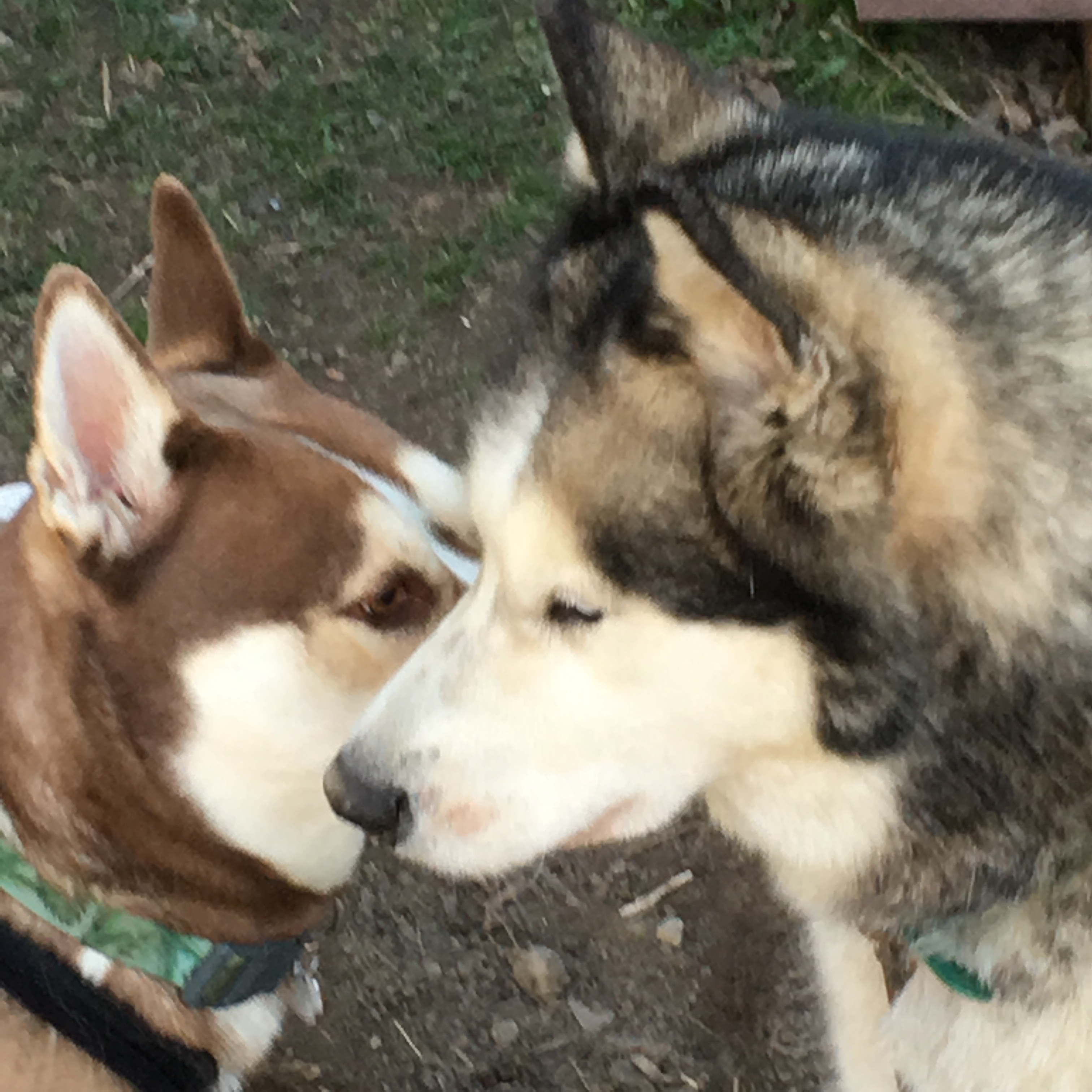 Québec publie la liste des services et activités commerciales essentiels