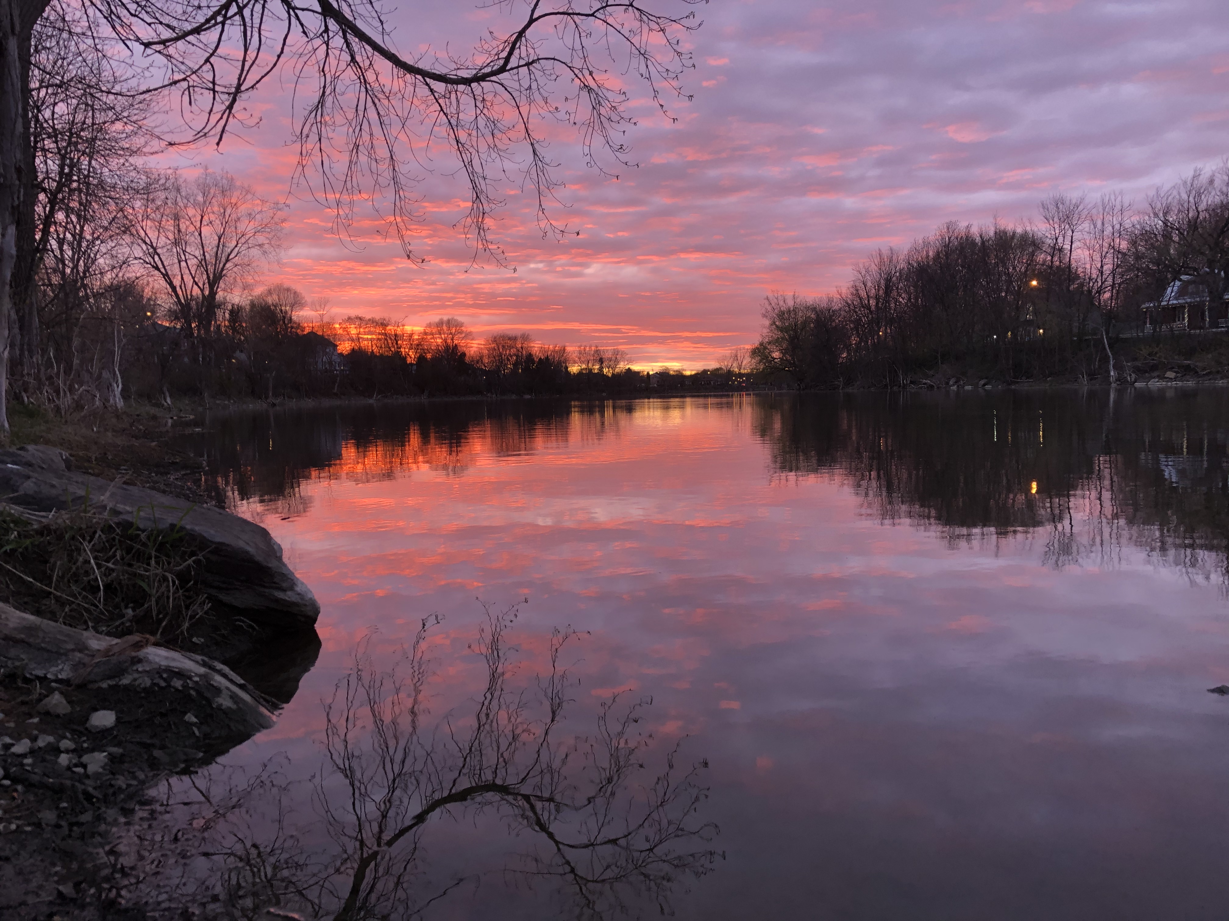 Image illustrant l'article: Images au temps de la COVID-19