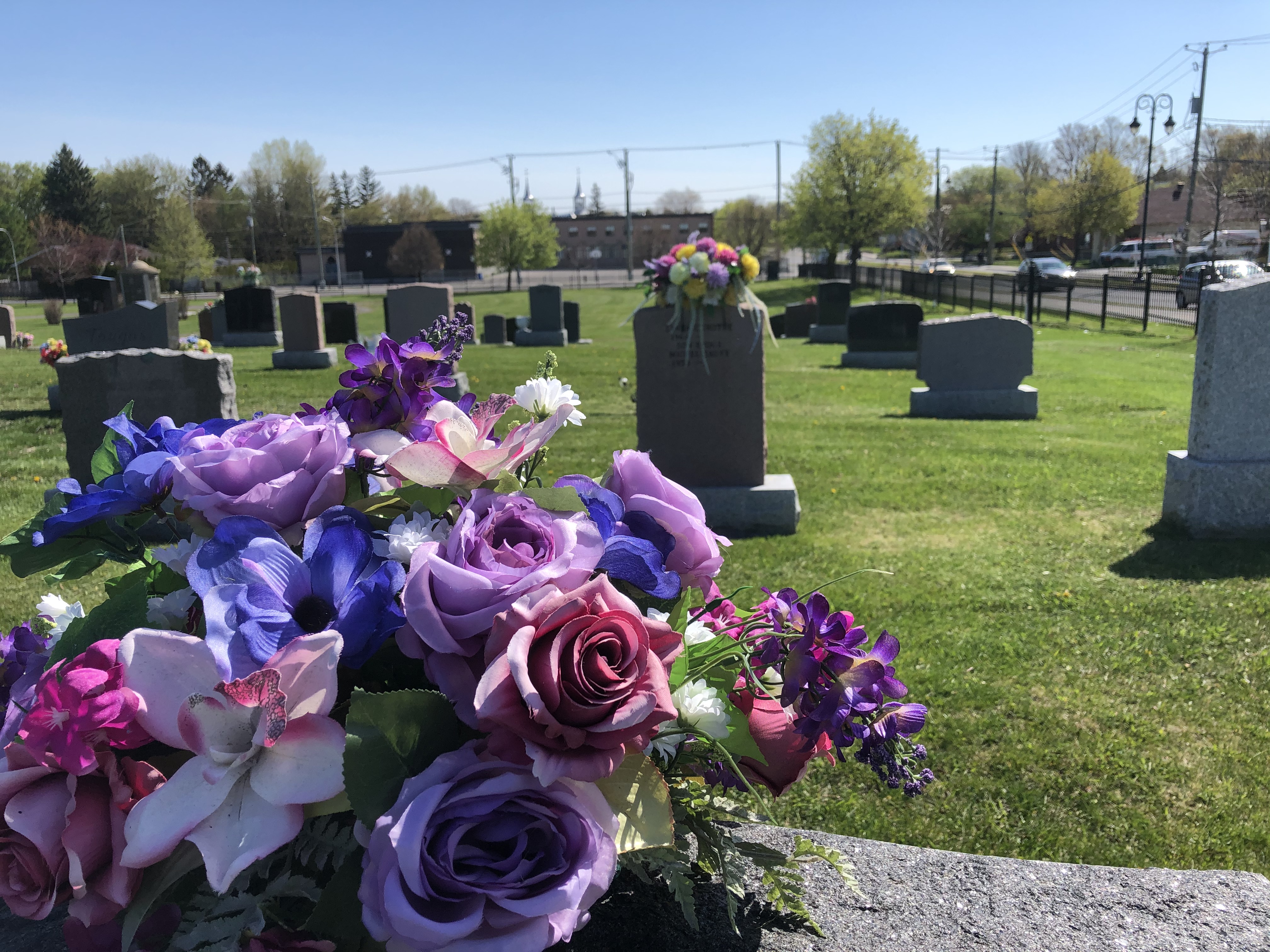 Quelques photos de ce lundi 18 mai