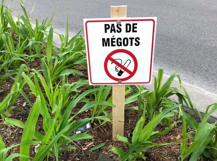 «Les pots de fleurs ne sont pas des cendriers !»