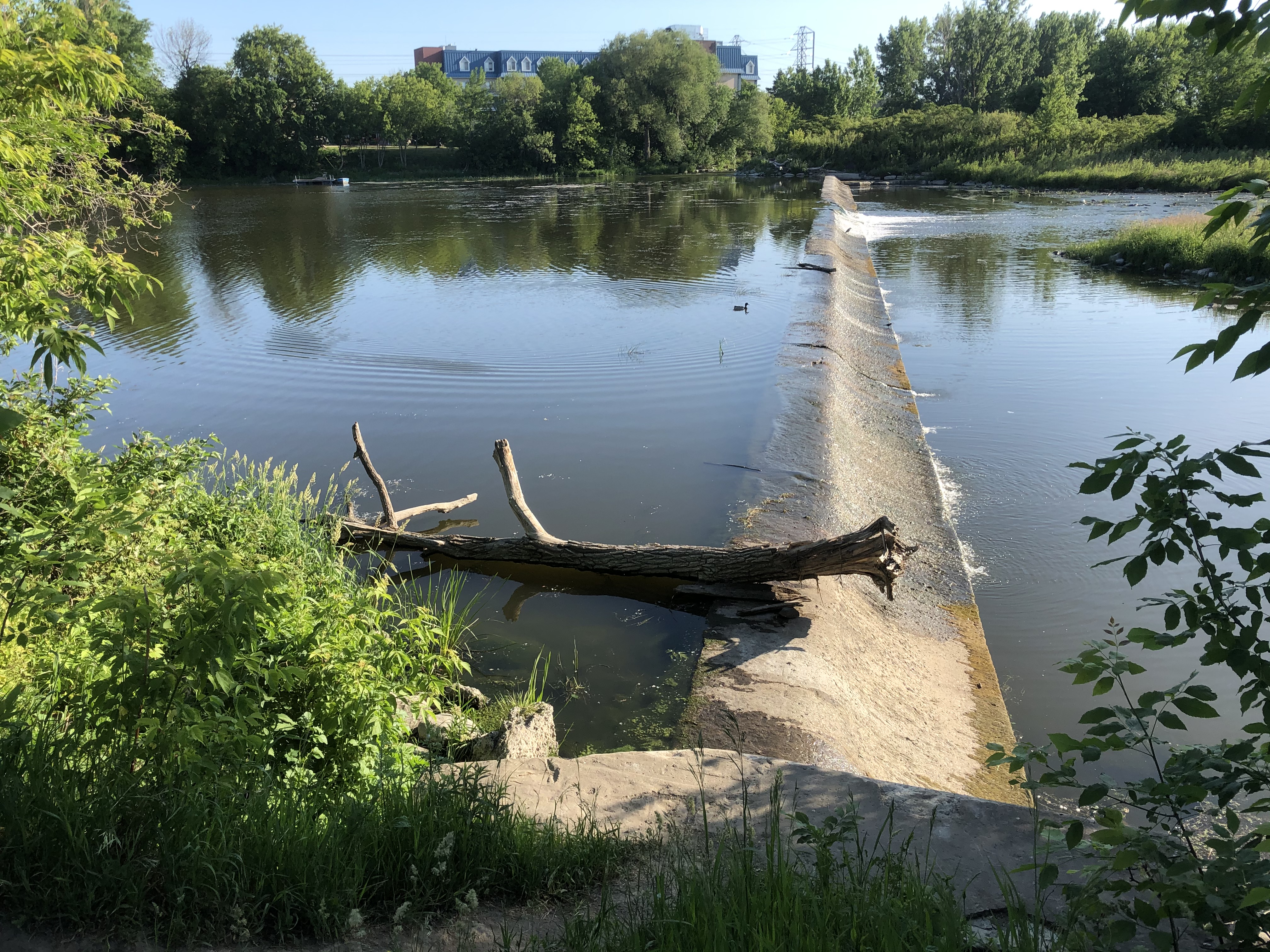Image illustrant l'article: Dam’s deadly trap causes concern in Châteauguay