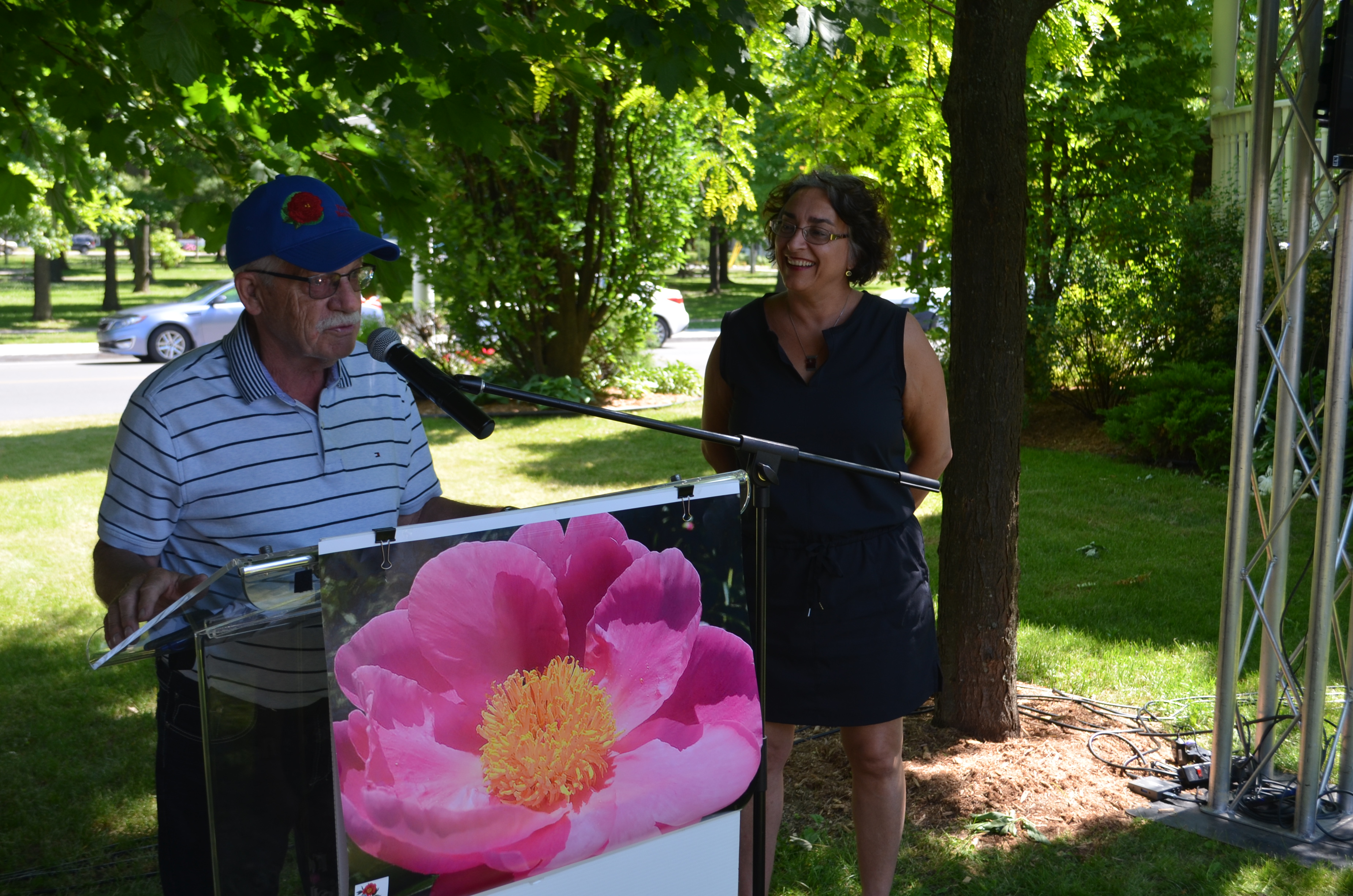 La Pauline Marois : une pivoine unique