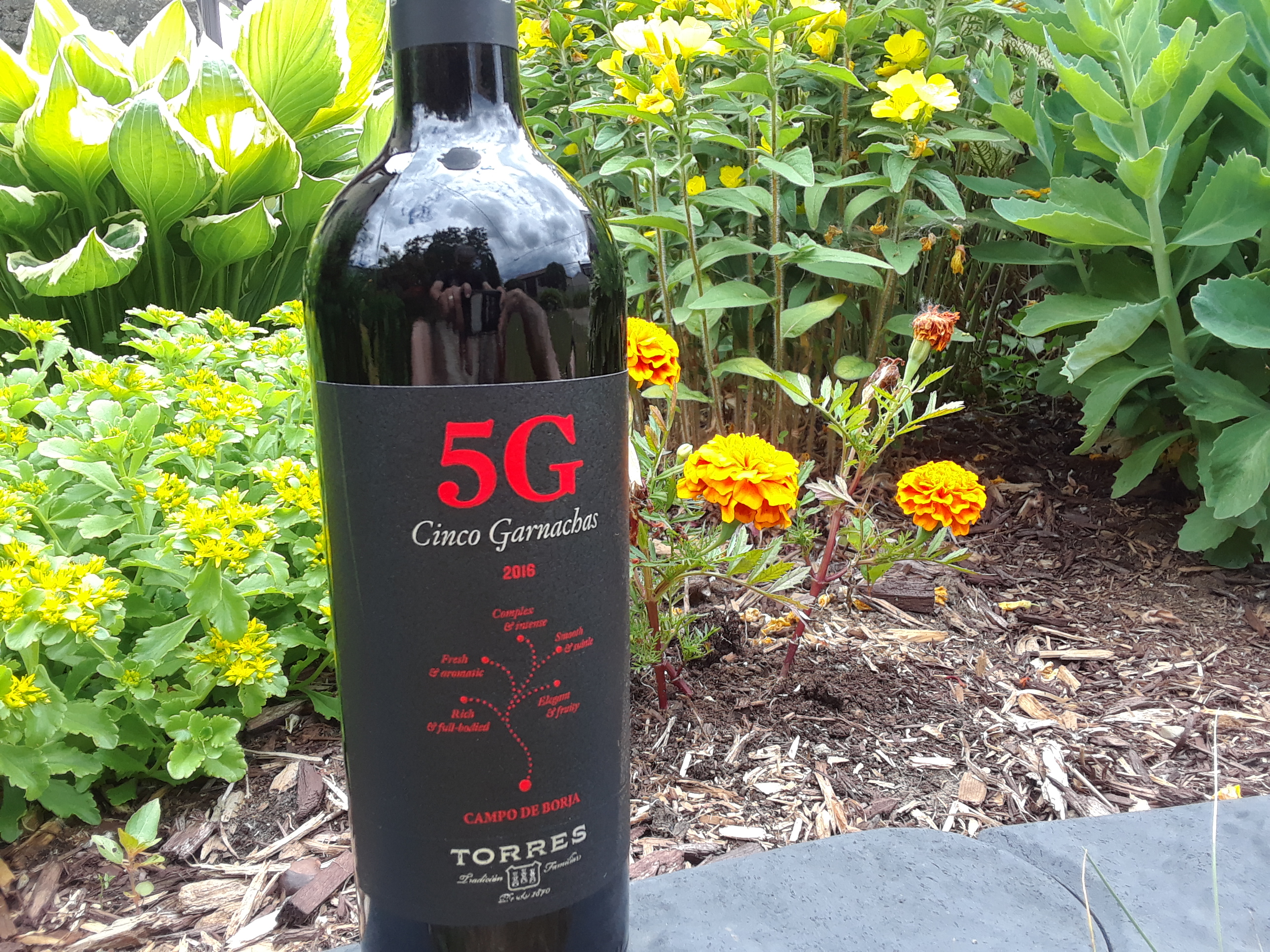 Chronique vin : la maison espagnole Torres