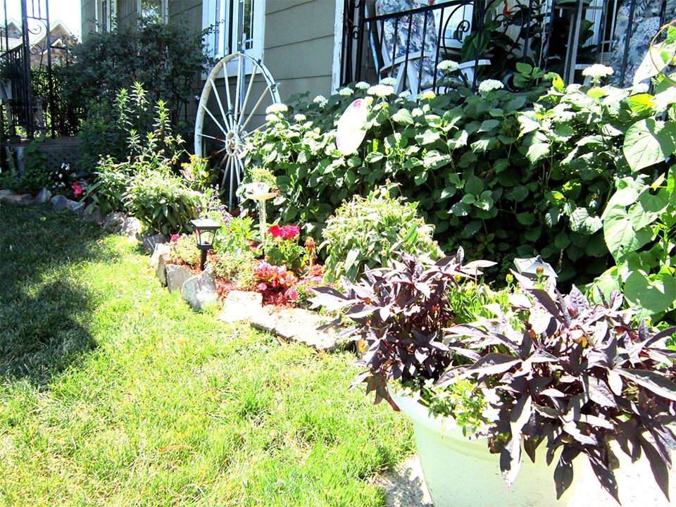 Le public appelé à voter au concours Jardins fleuris à Sainte-Martine