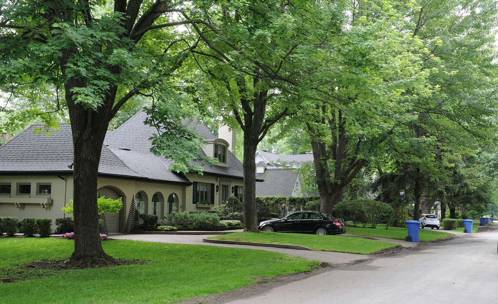 Image illustrant l'article: Un logiciel pour doter le Québec d’un couvert forestier plus durable