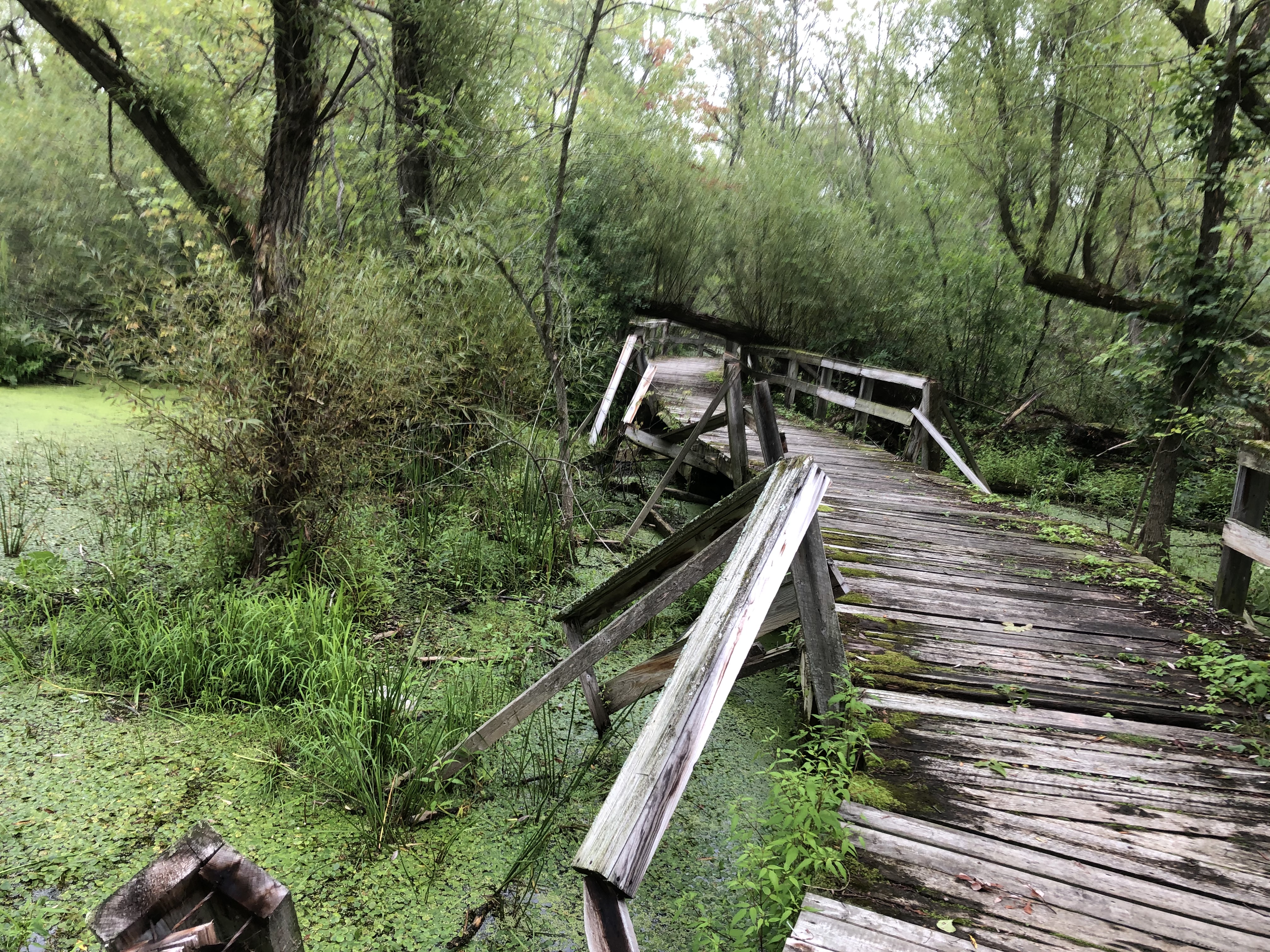 Image illustrant l'article: Nouvel essai pour rebâtir la passerelle du ruisseau Saint-Jean