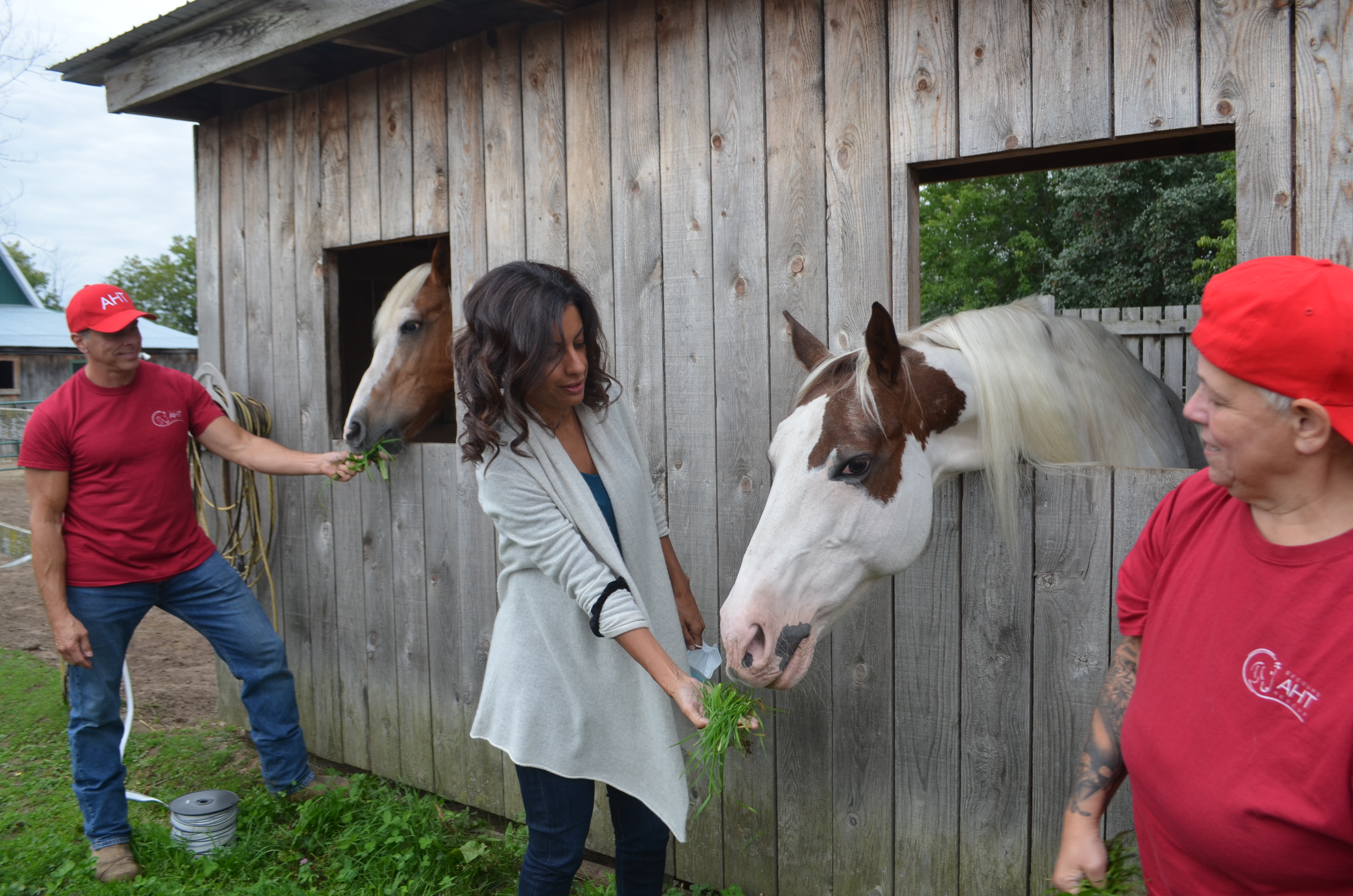 Dominique Anglade à l’écoute des enjeux des agriculteurs