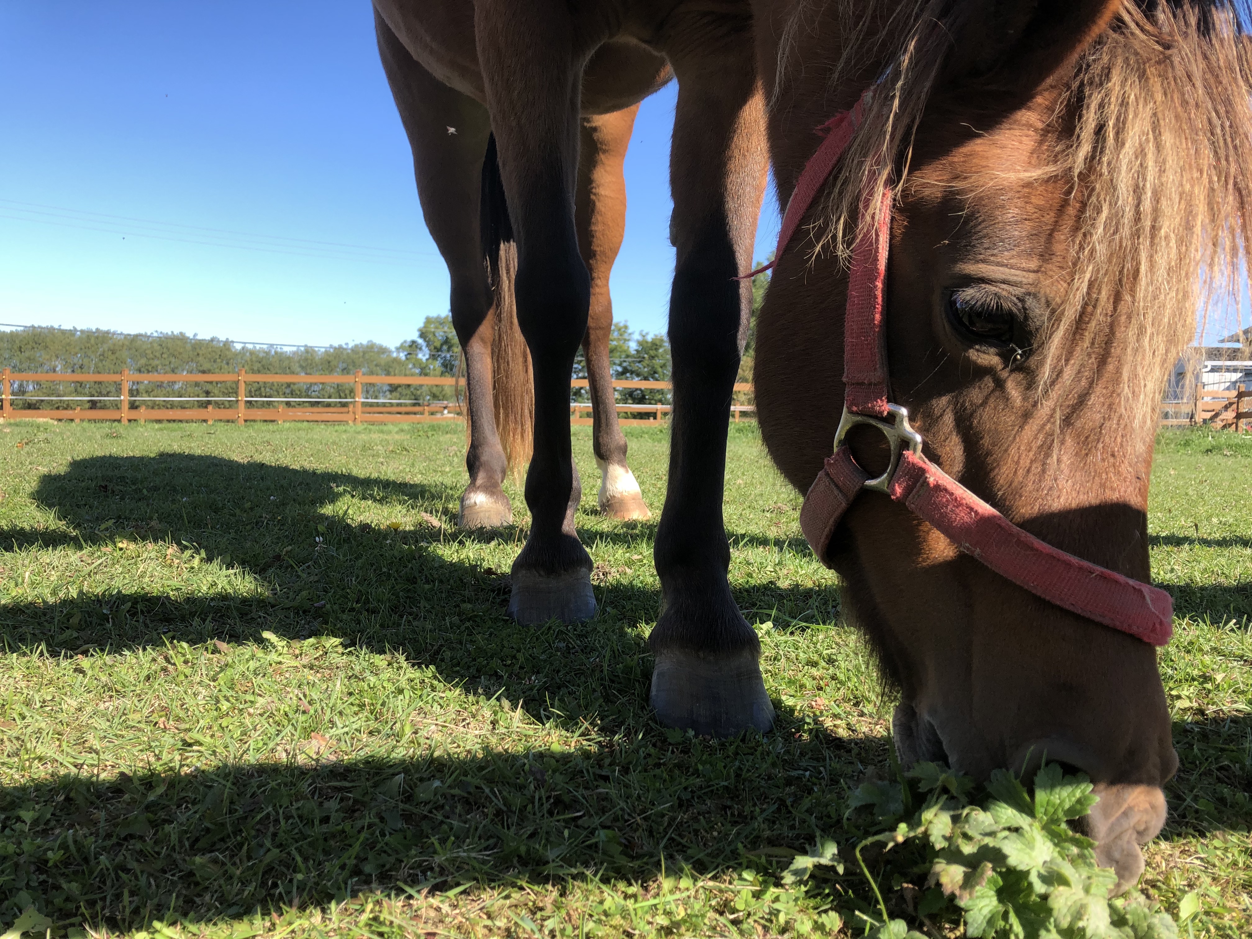 Randonnée de 40 km de vélo dans la région en photos