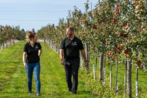 Autocueillette au Domaine Labranche