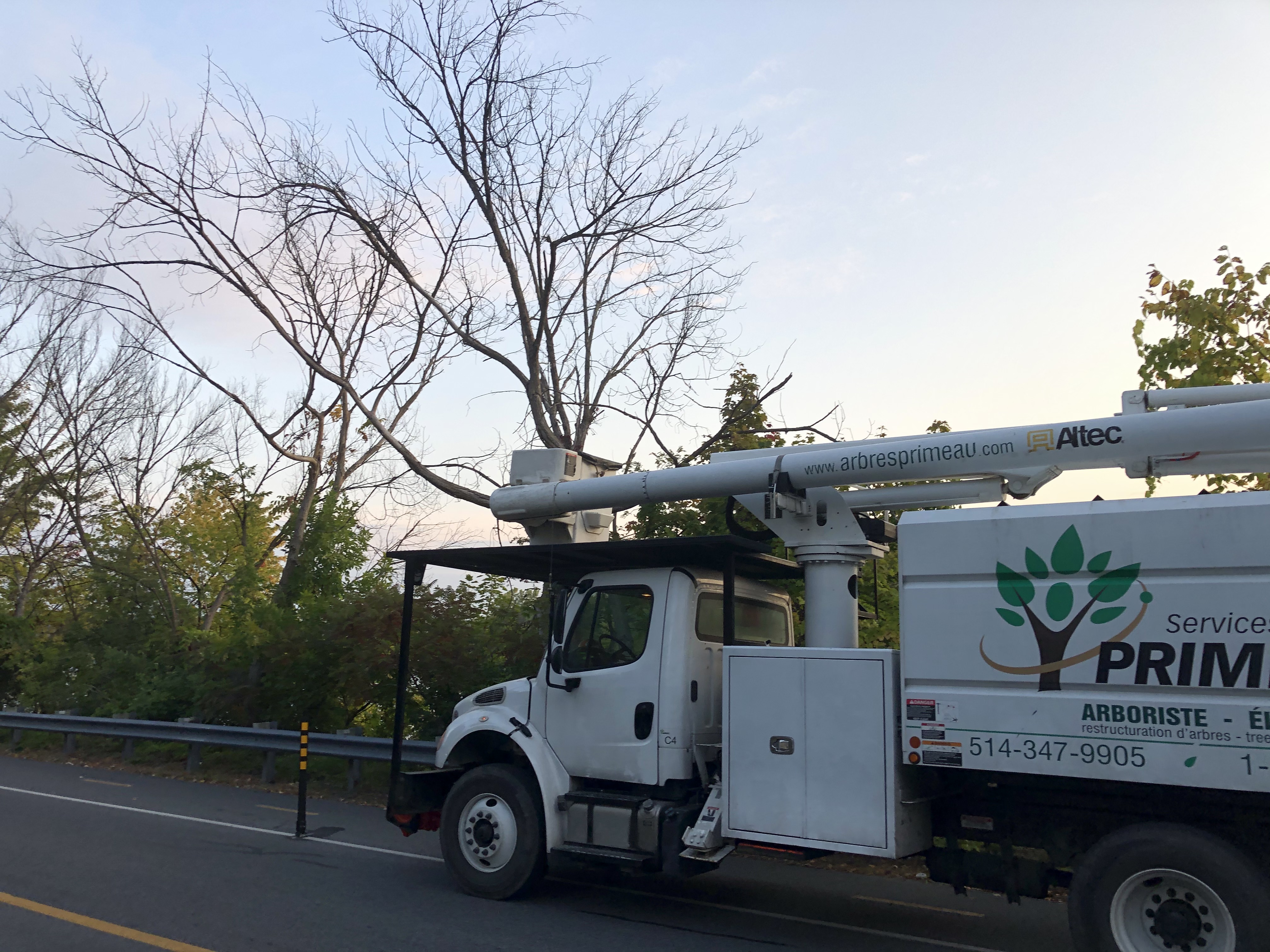 L&rsquo;abattage de 500 arbres morts ou mal en point avance à Châteauguay