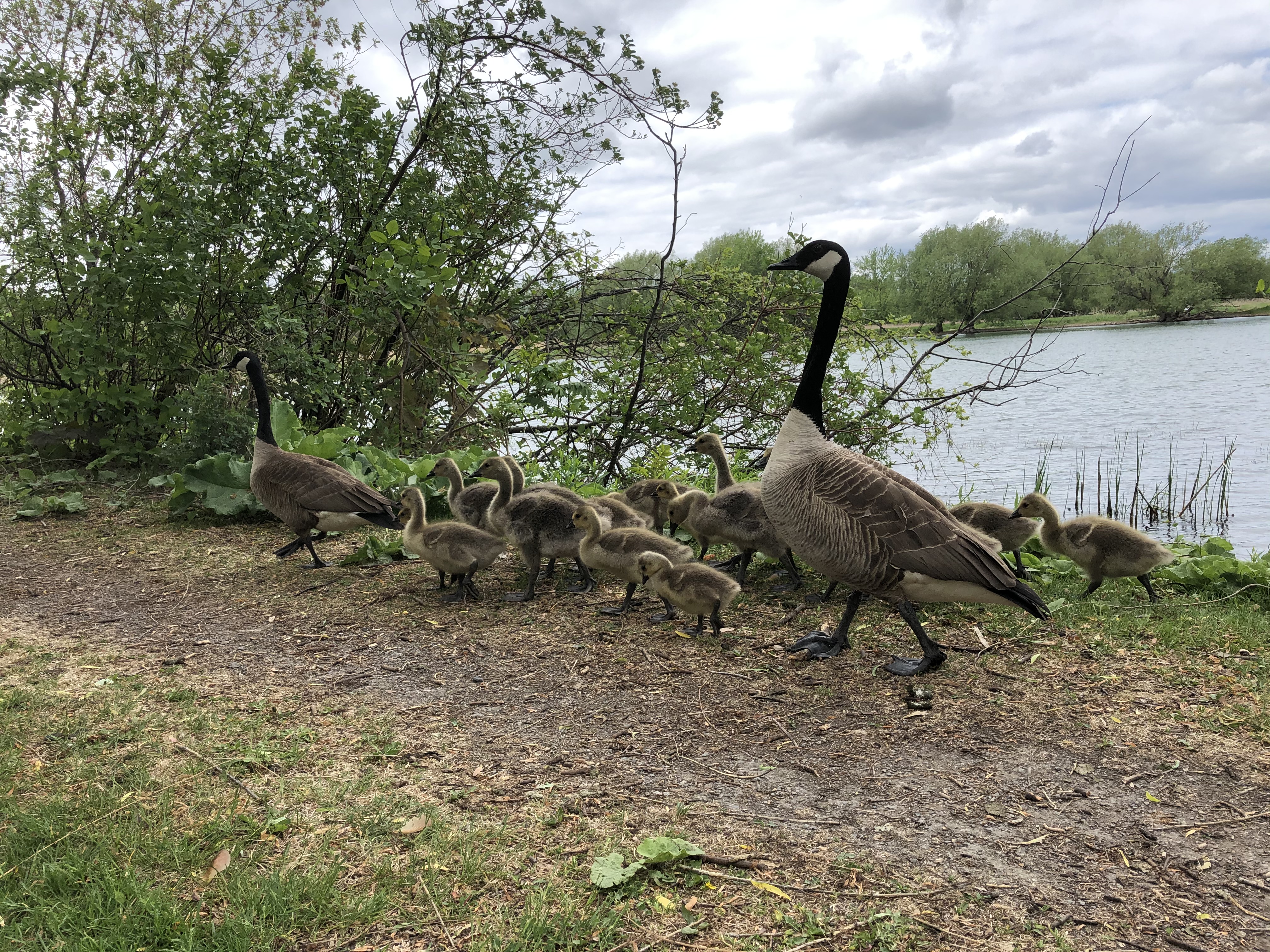 Campagne de financement annuelle : des élus soutiennent Héritage Saint-Bernard