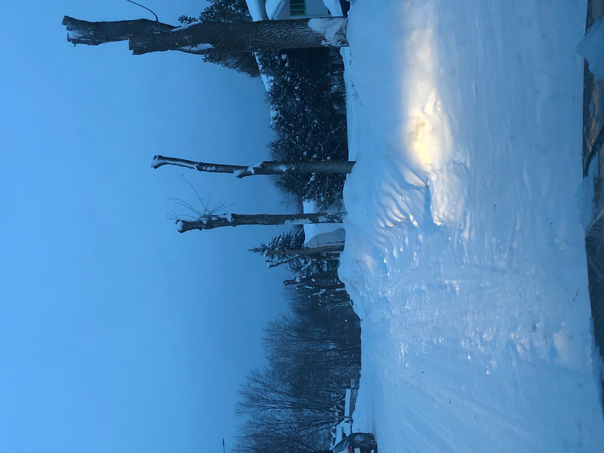 L&rsquo;adieu aux arbres