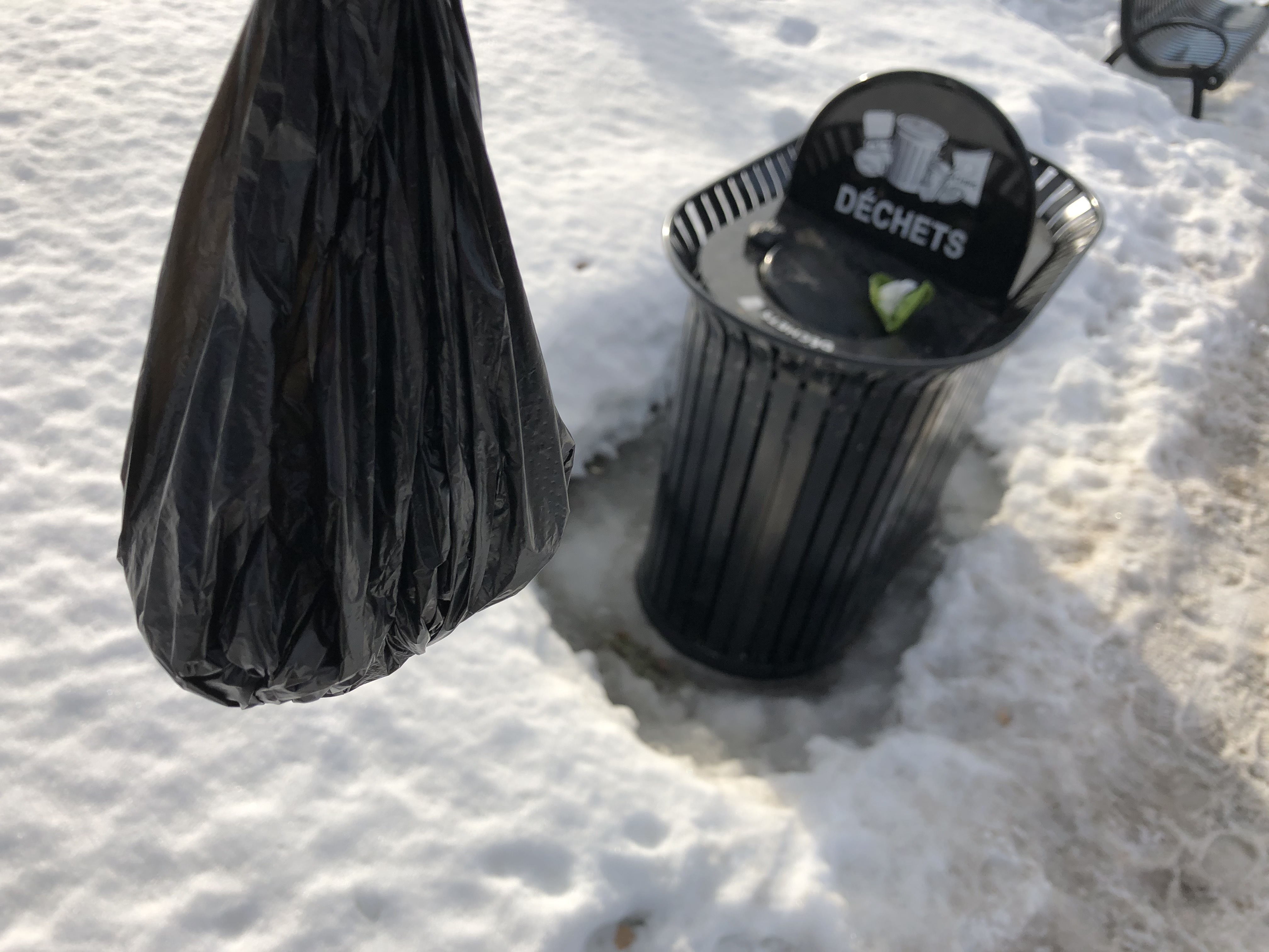 Déjections de chiens : beaucoup de maîtres sans sac