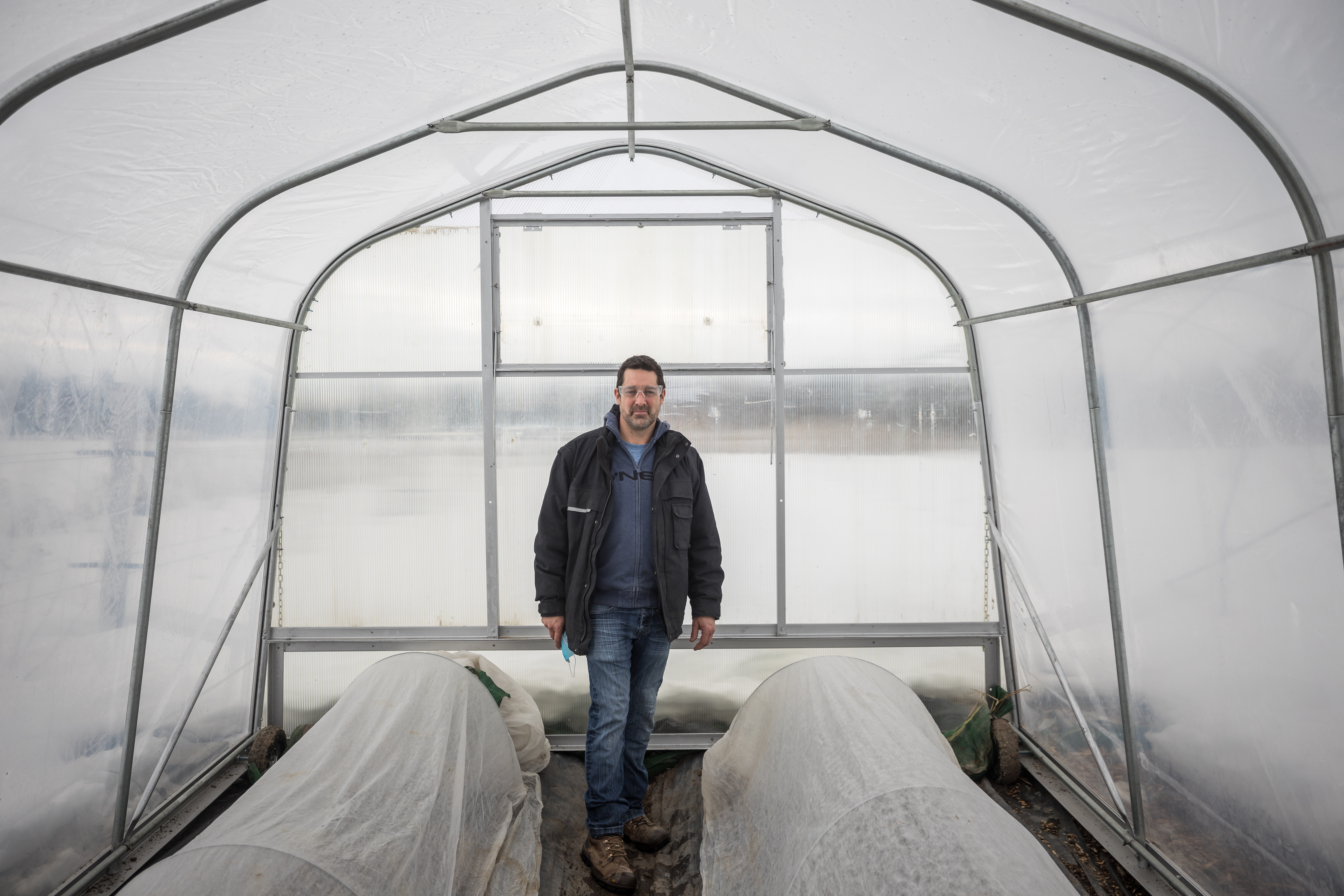Des carottes au printemps