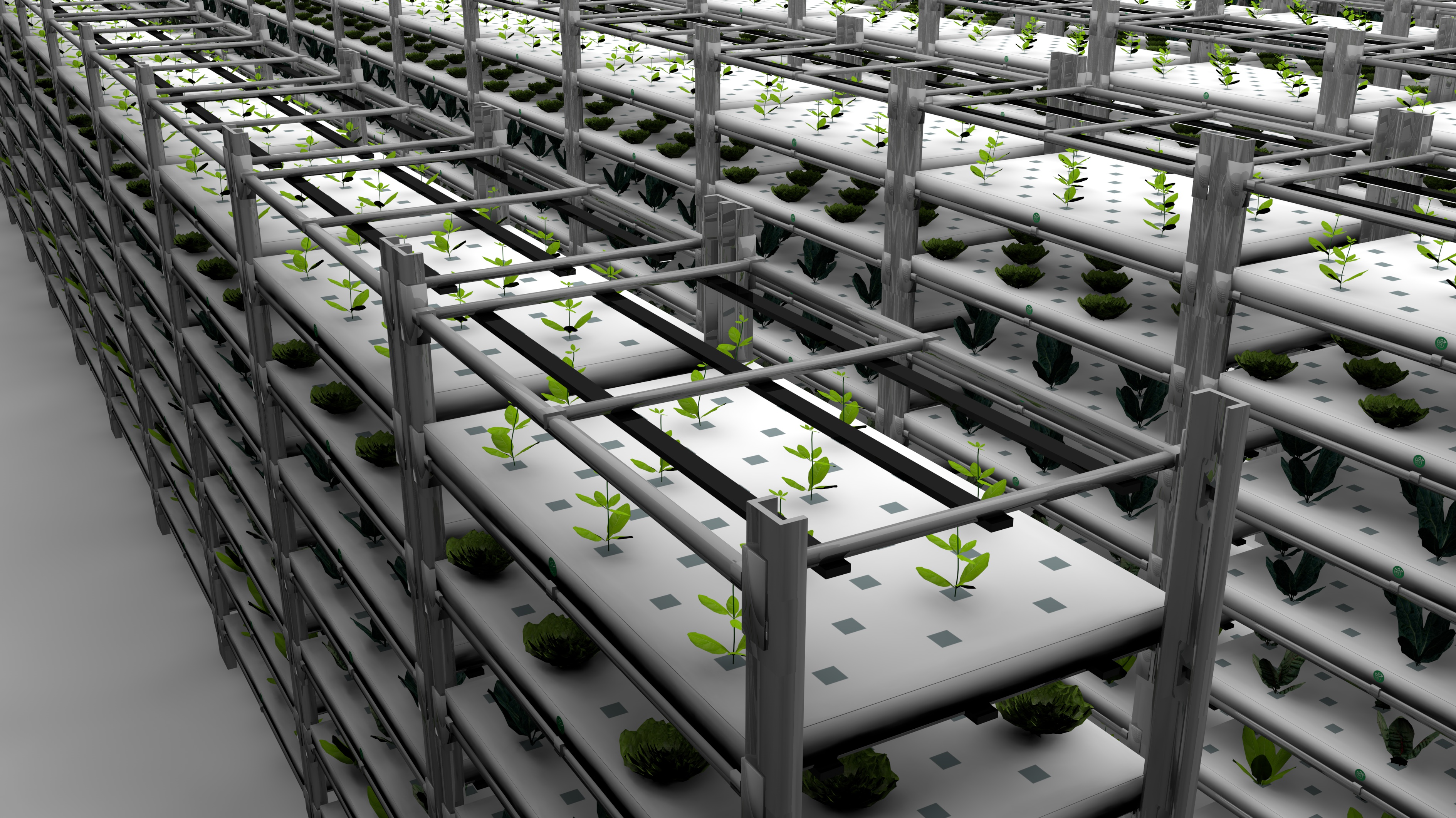 Image illustrant l'article: Entering next phase of the aquaponics project