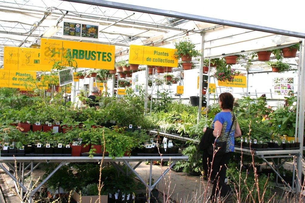 L’expo-vente Moisson en fleurs de retour les 7 et 8 mai