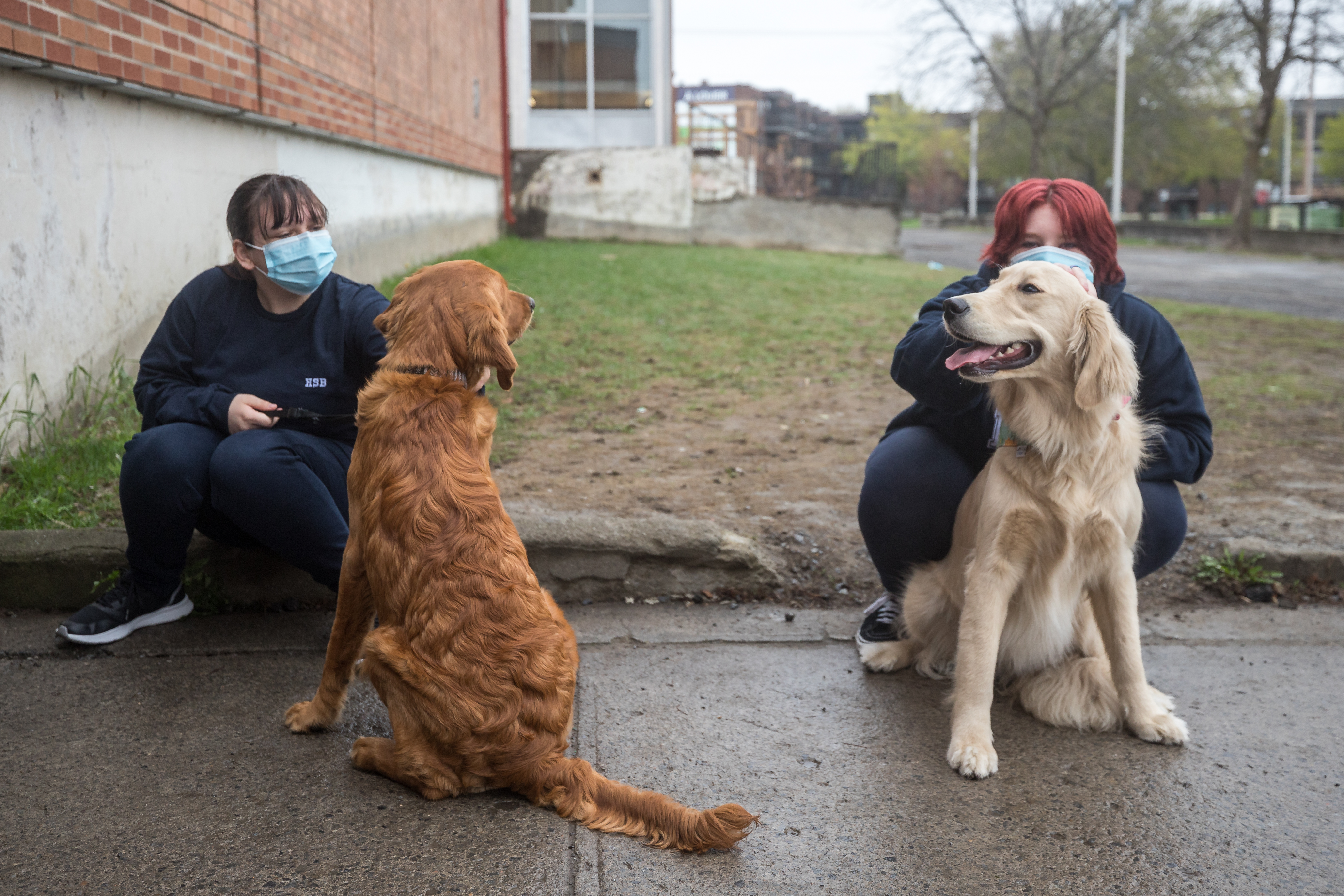 Animal therapy for teens