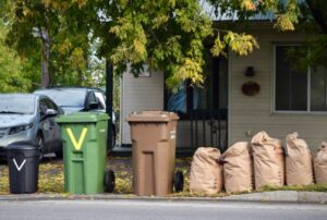 Résidus verts : il faut utiliser le bac brun en premier
