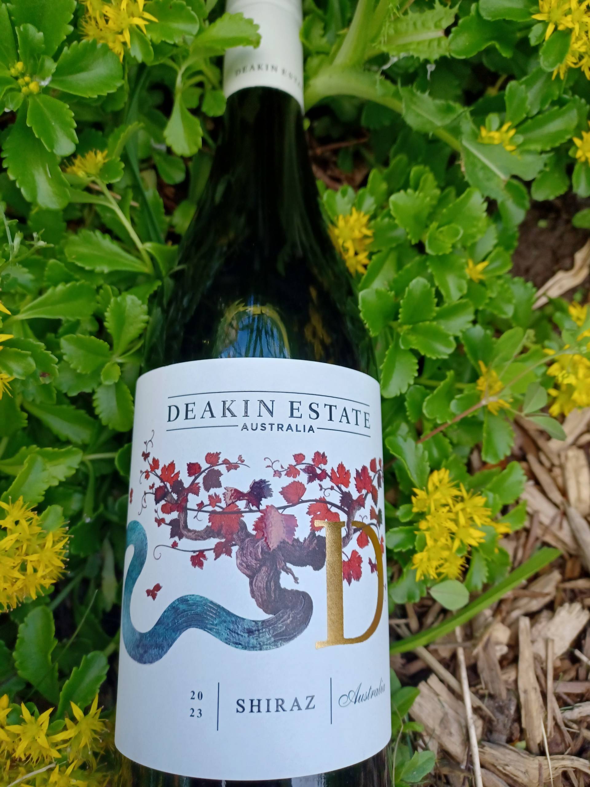 Protégez votre ordinateur portable avec ces cadenas