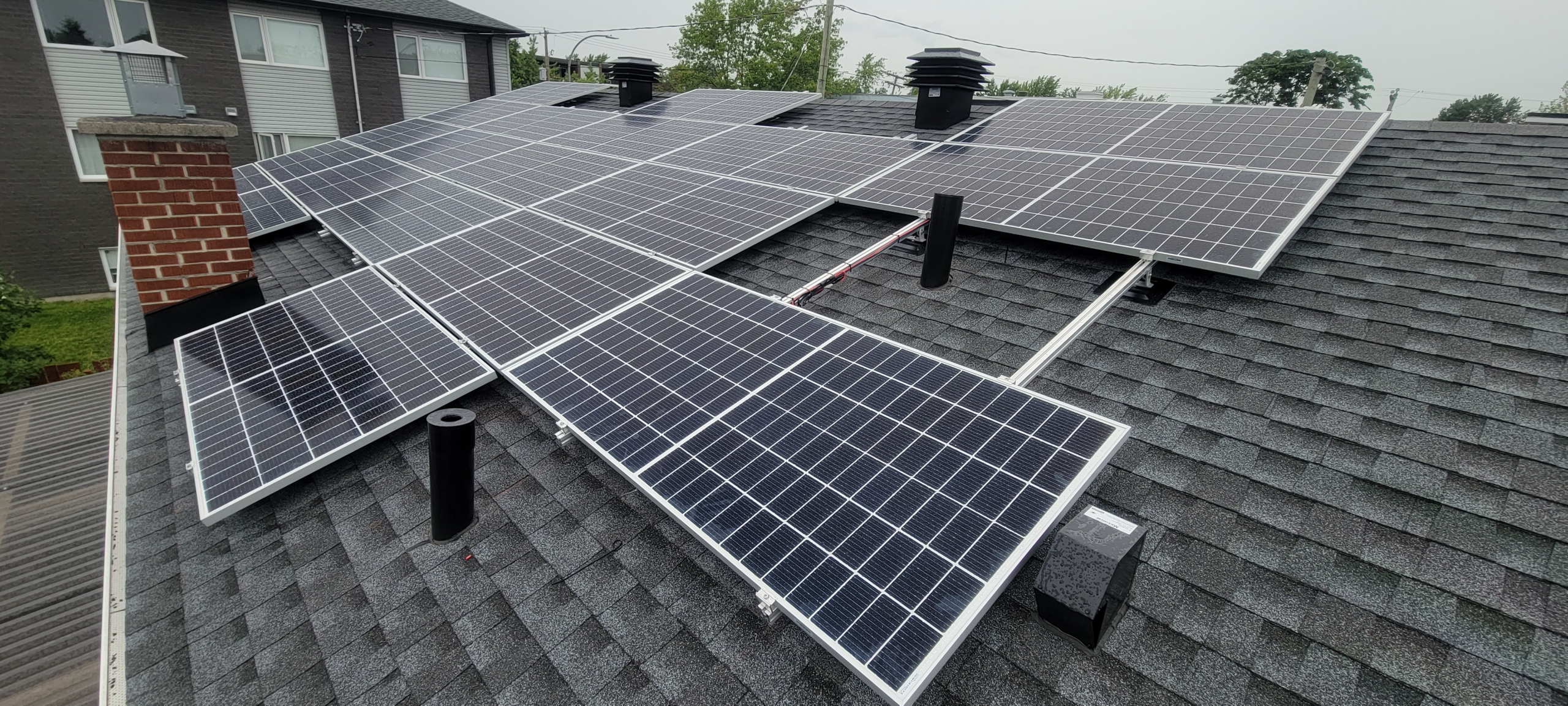 Un chien… ou un rongeur?