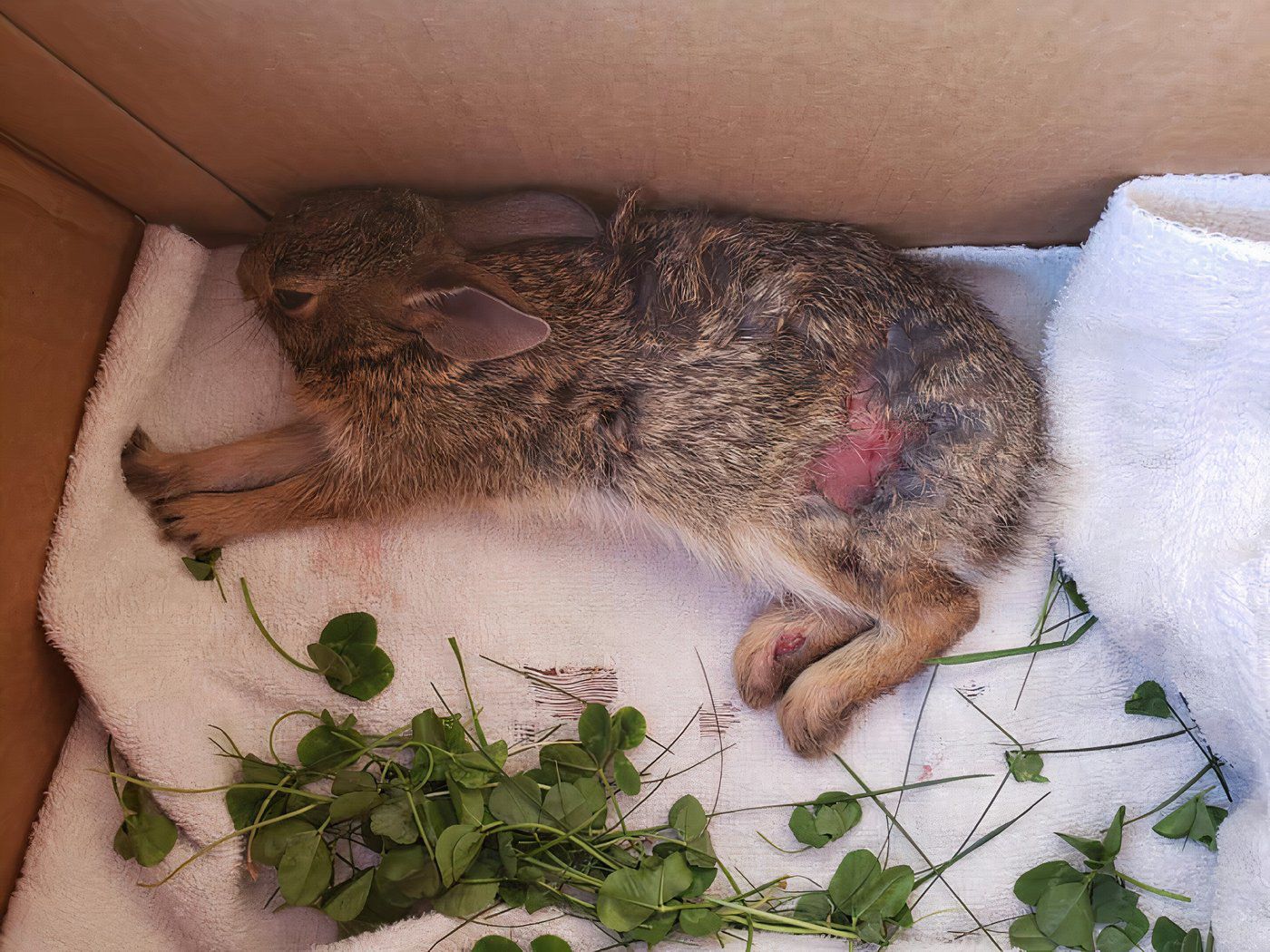 Aucune préoccupation assez alarmante…