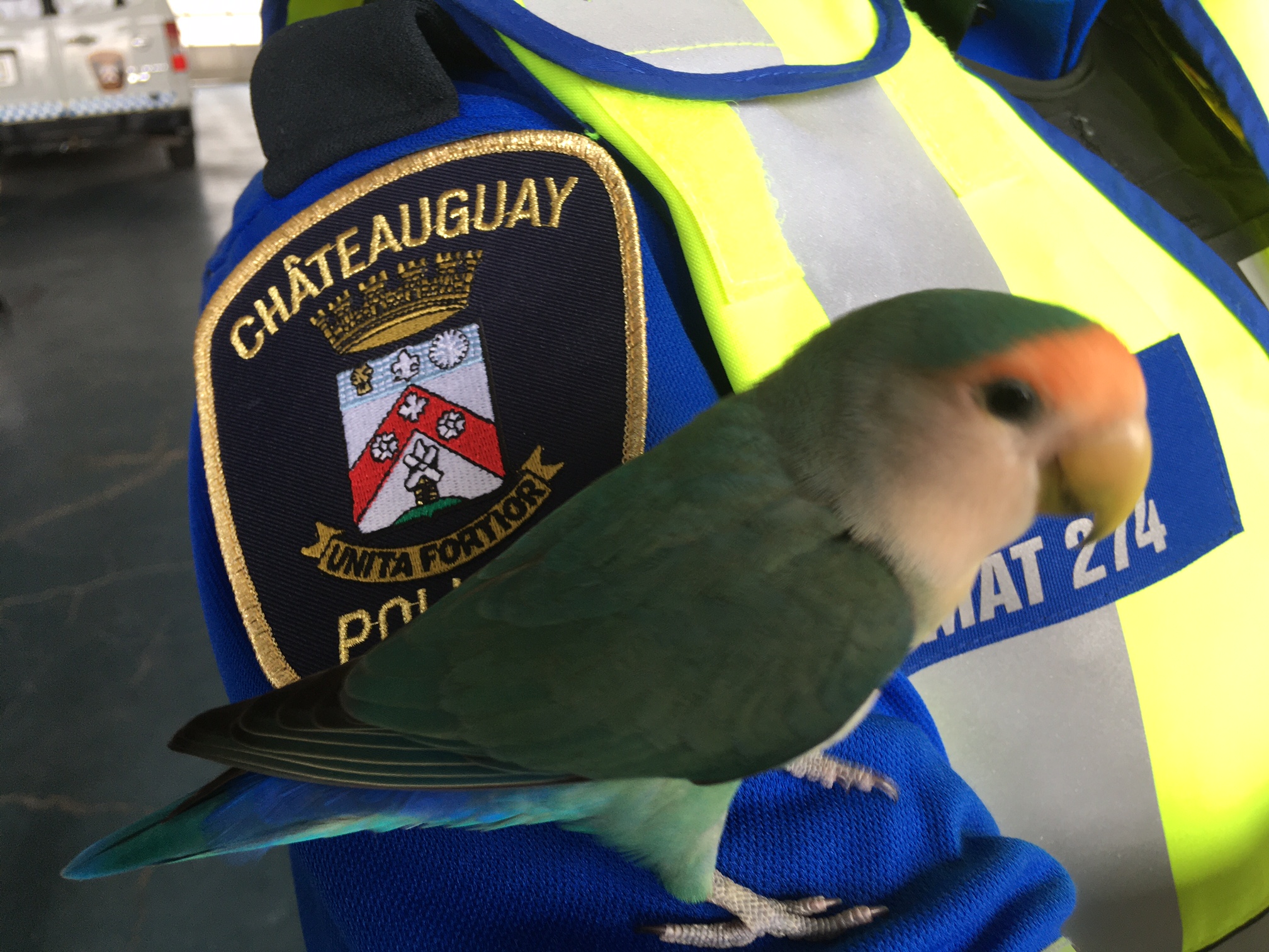 Amateurs de randonnée pédestre? Vertige garanti!