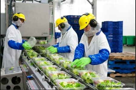 S’il continue comme ça, il va se faire renvoyer!