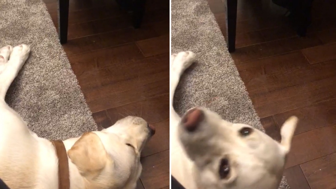 Image illustrant l'article