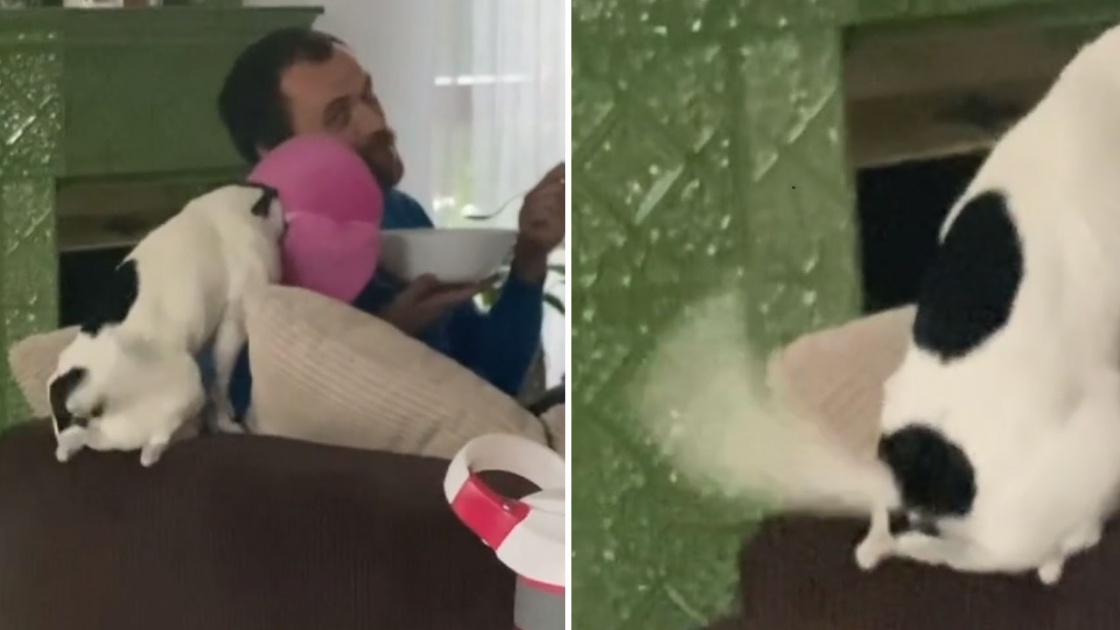 Avis d'&eacute;bullition d'eau pour des r&eacute;sidents de Beauharnois