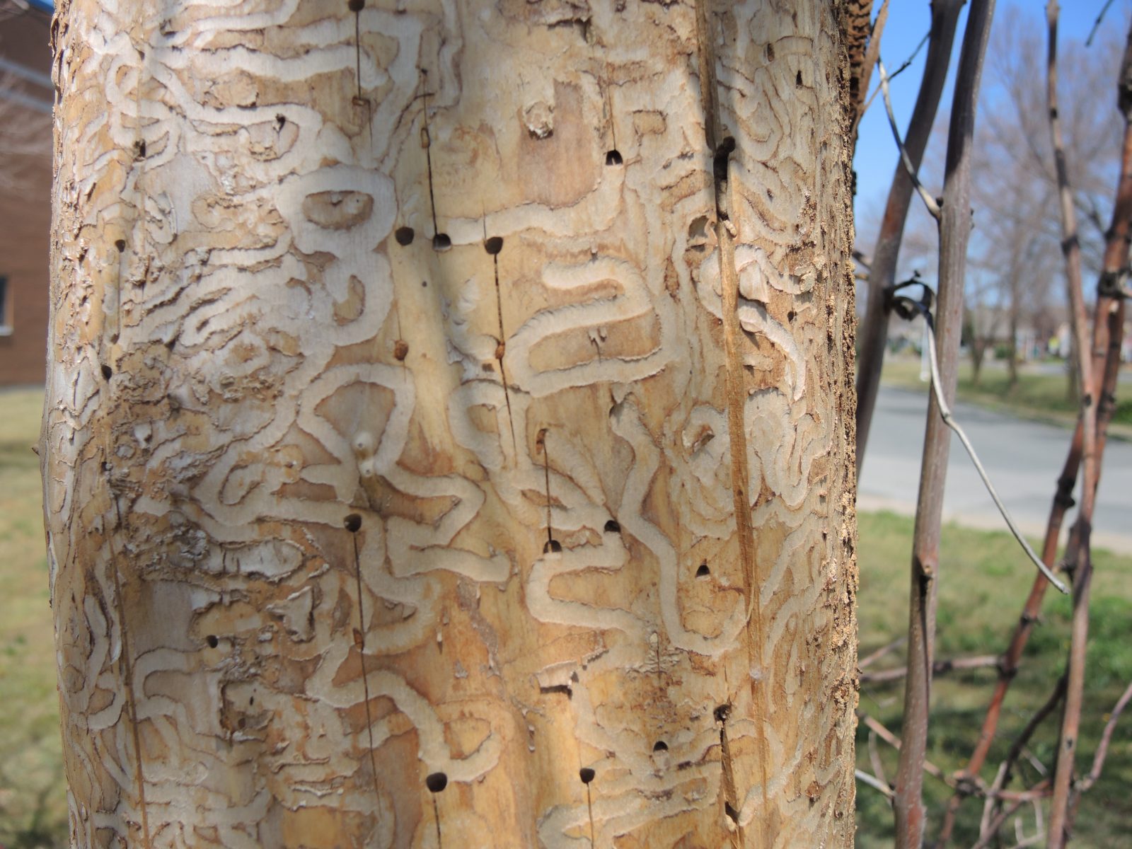 De souvenirs qui dureront toute la vie