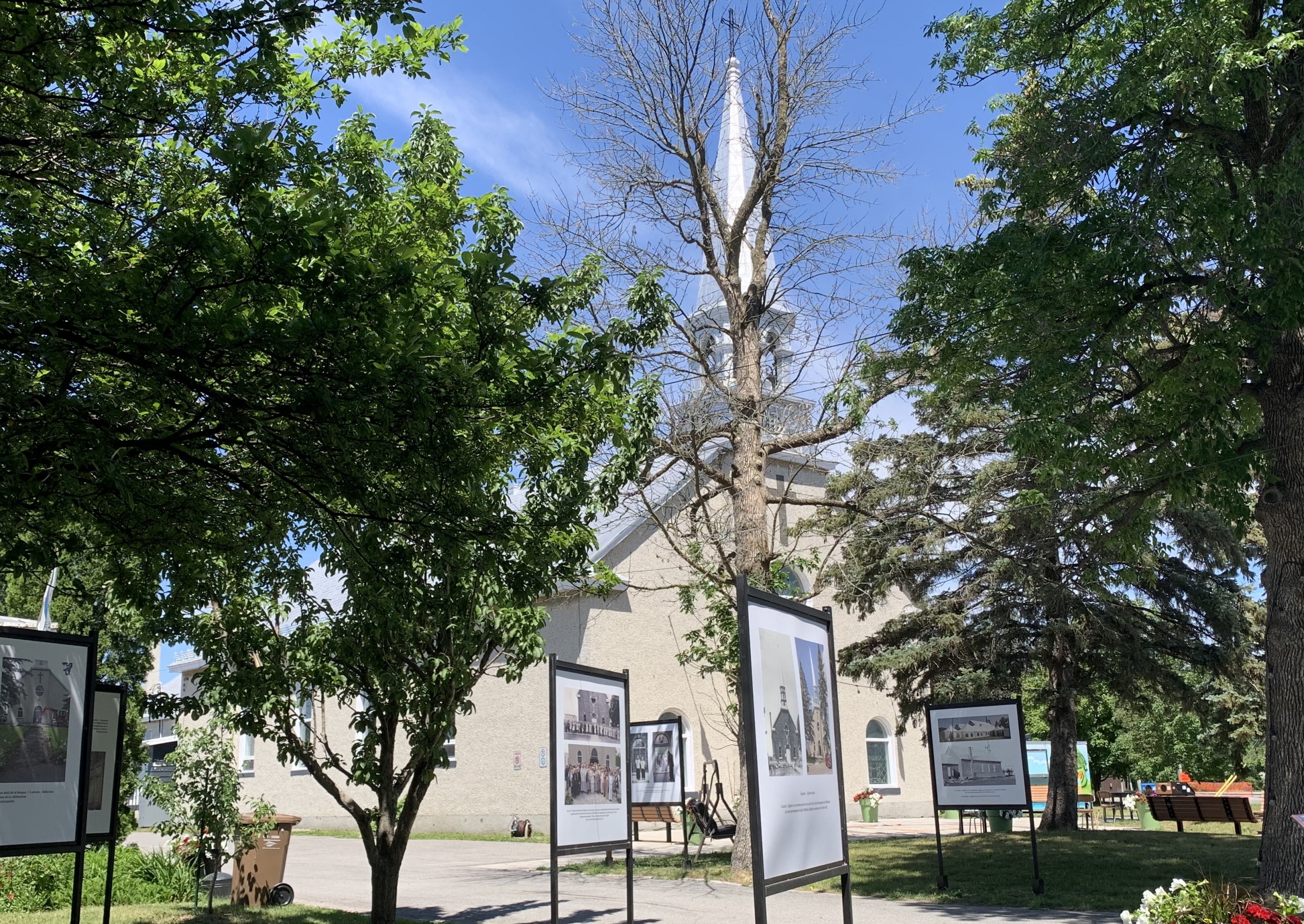 Ce perroquet ne manquera pas de potassium