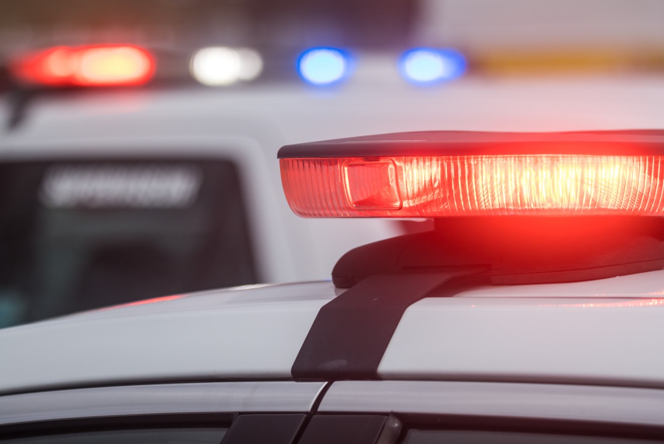 Image illustrant l'article