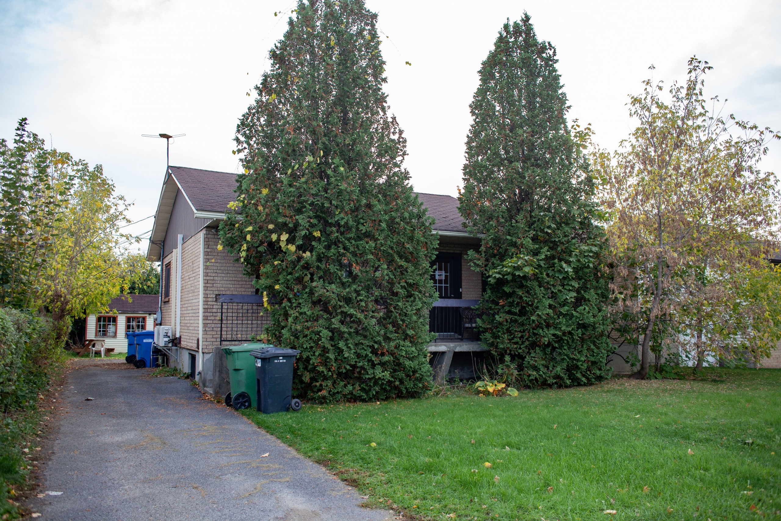 Image illustrant l'article