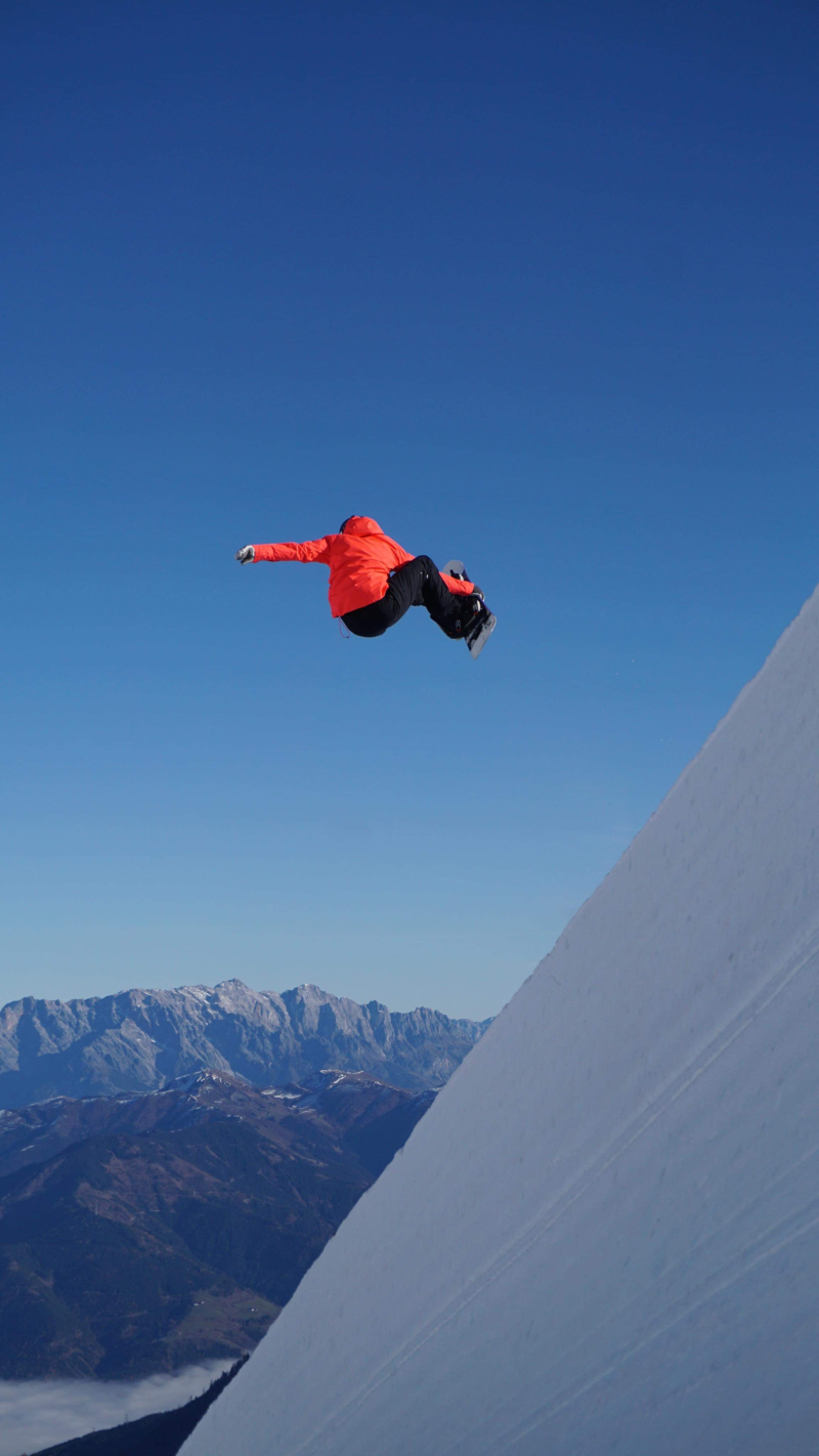 Mais où se trouve le chien?