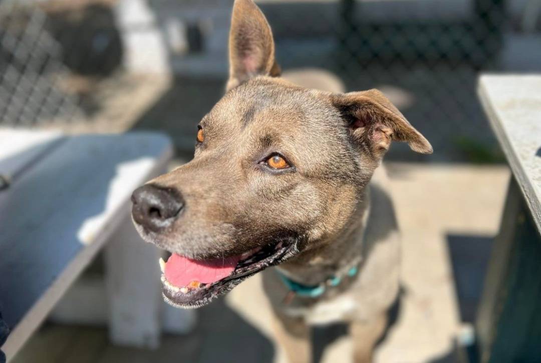 Ce clavier d&rsquo;ordinateur écologique est alimenté par l&rsquo;énergie solaire