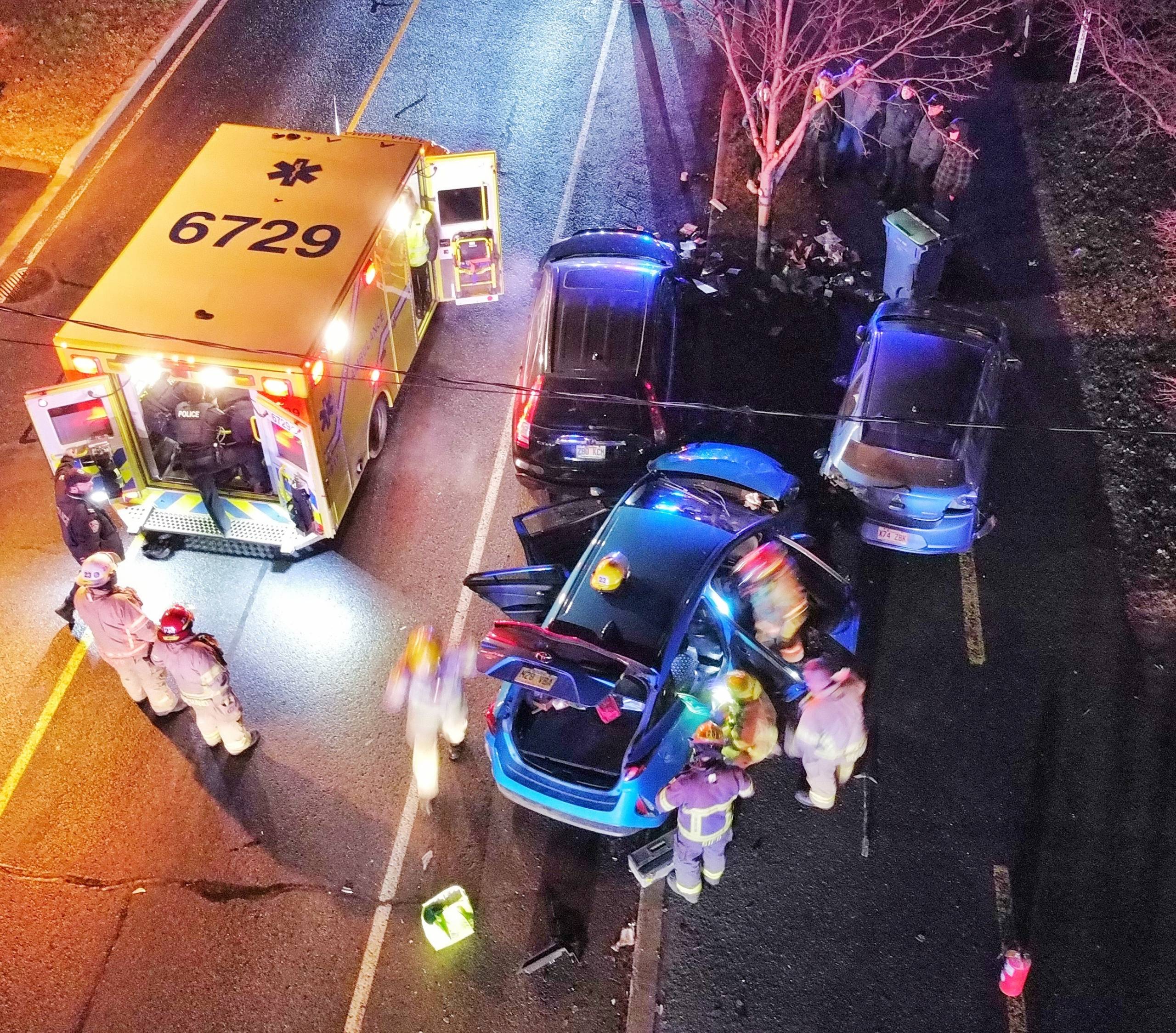 Ce chien adore son toutou!