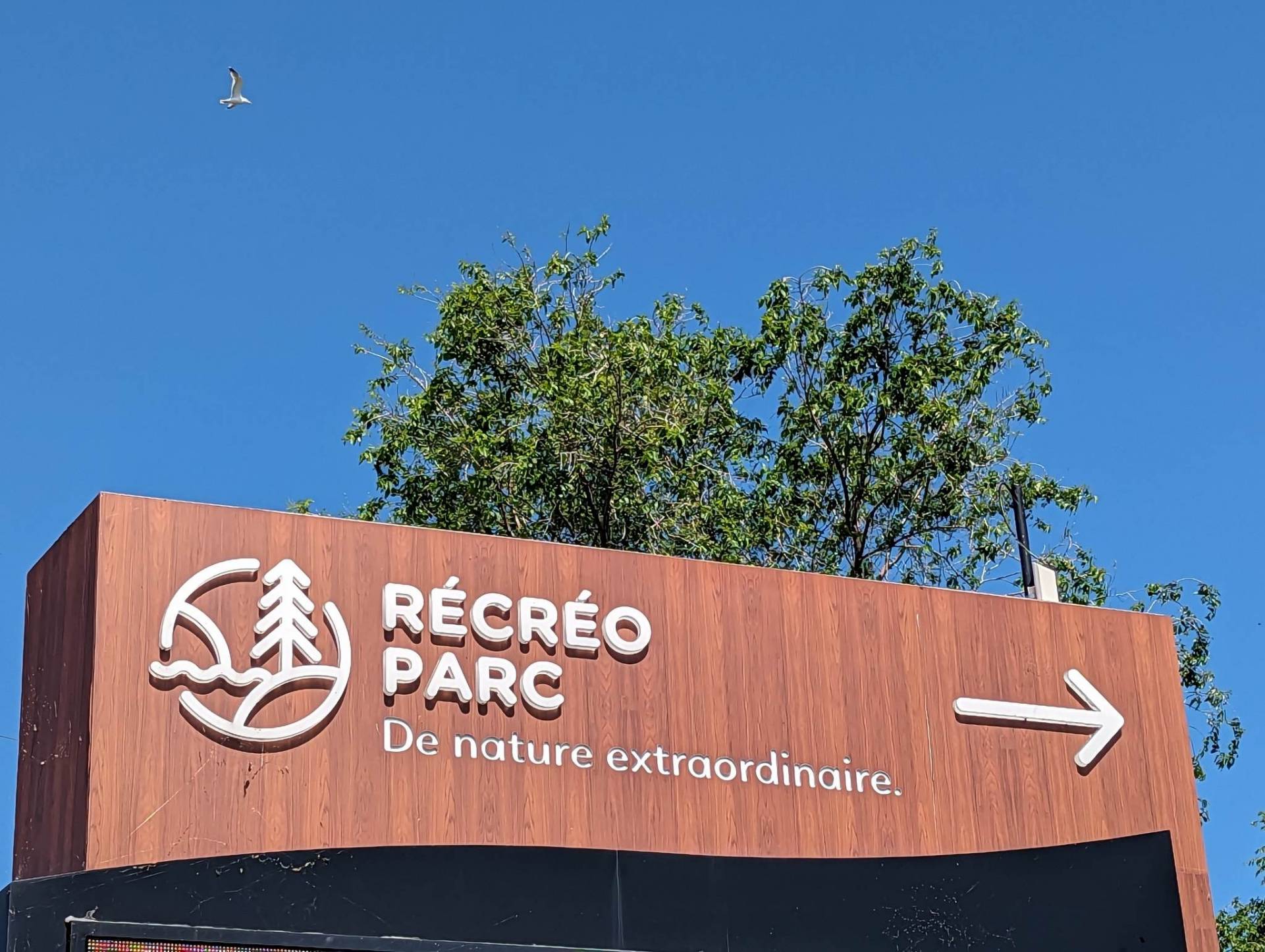 Comment effectuer une recherche Google avec une image au lieu de texte