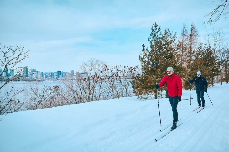 Image illustrant l'article