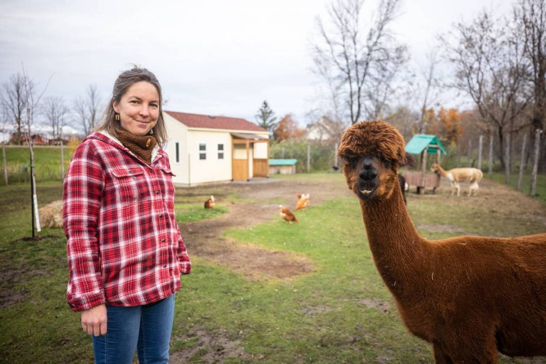 Litige entre un copropriétaire et un locataire: Quelles sont les solutions réellement efficaces?