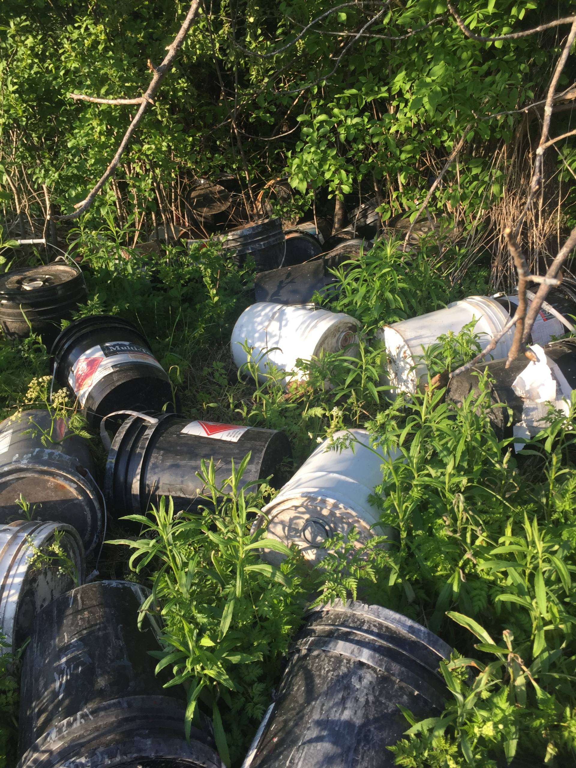 Sa réaction lors de la première illumination du sapin!