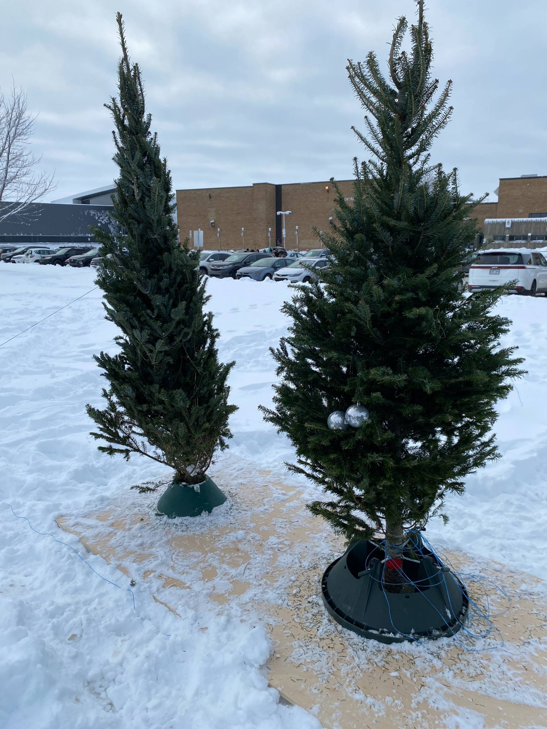 Image illustrant l'article